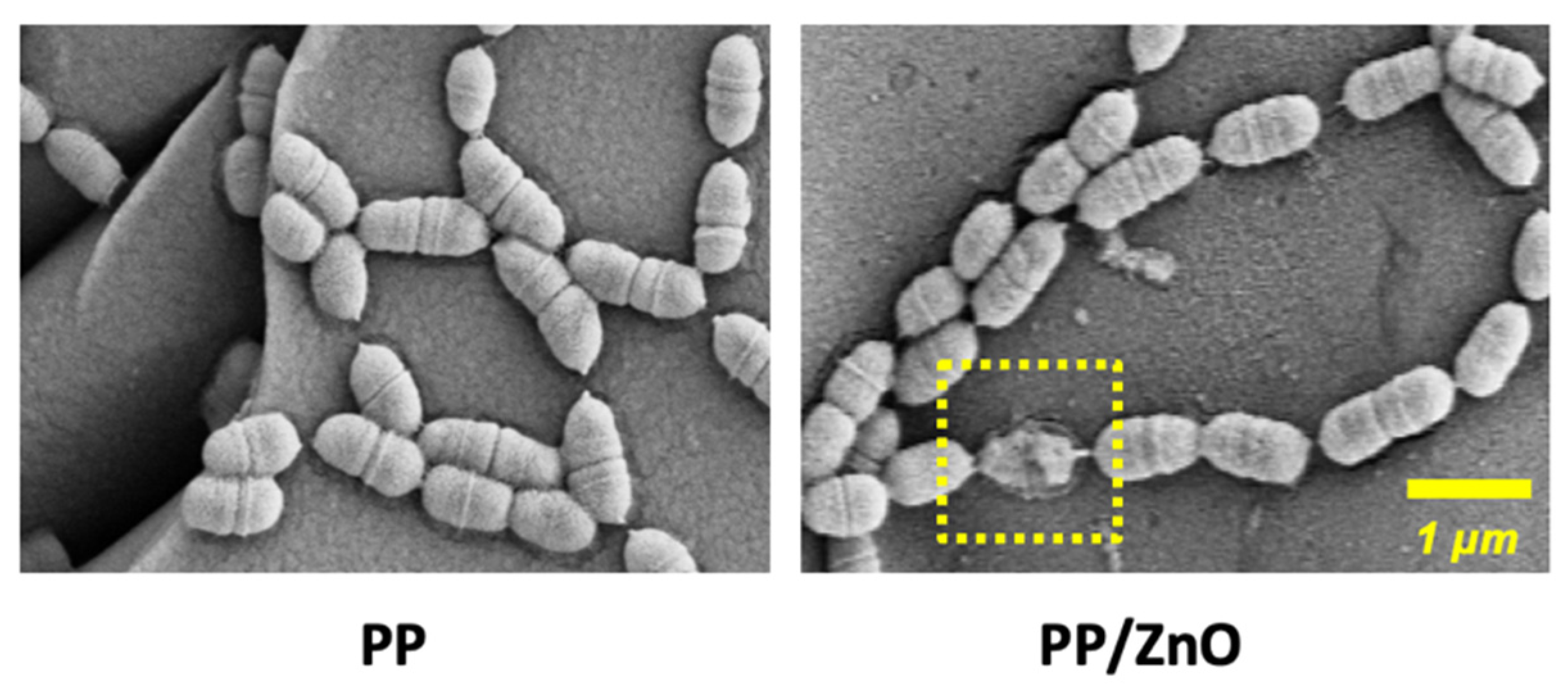 Polymers 17 01356 g009