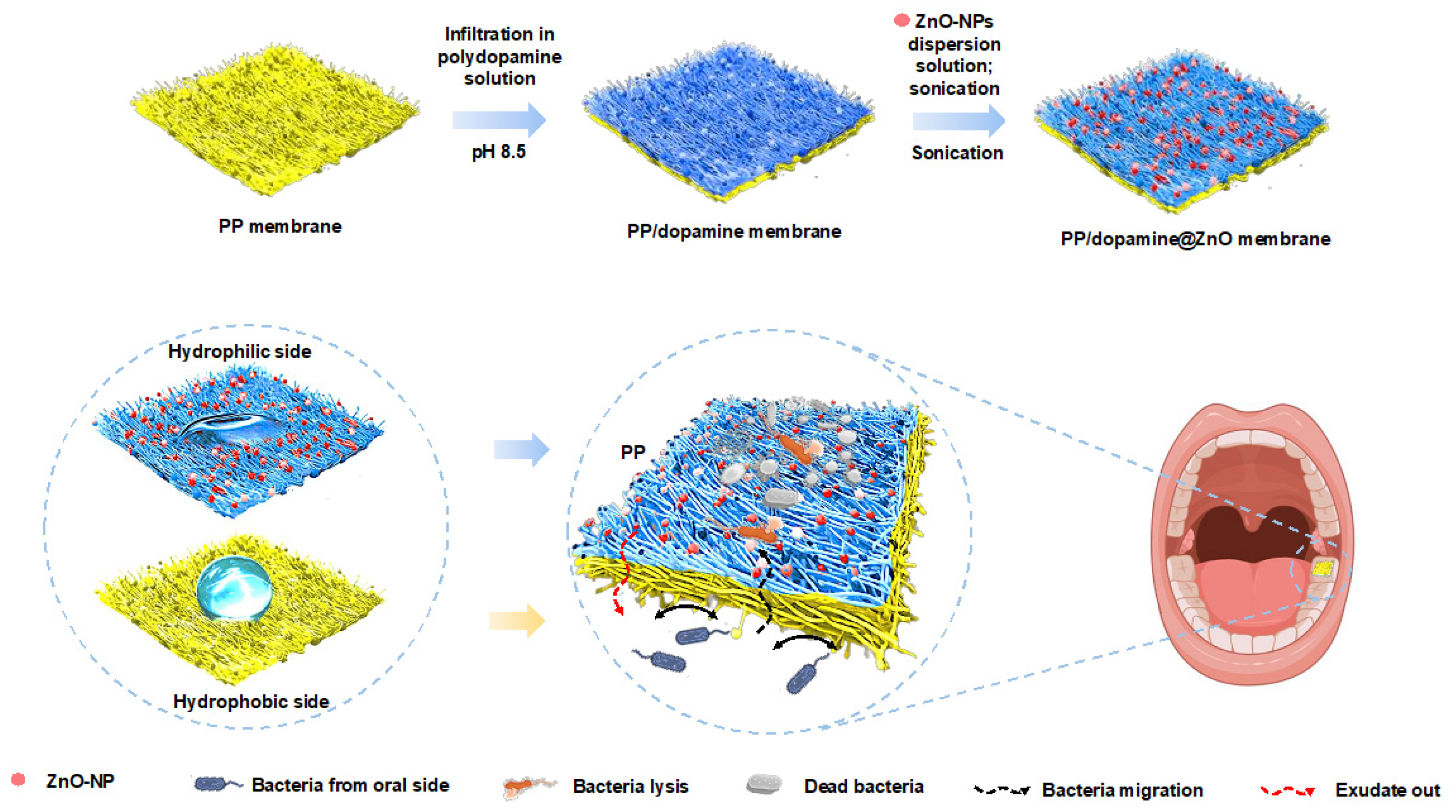 Polymers 17 01356 sch001