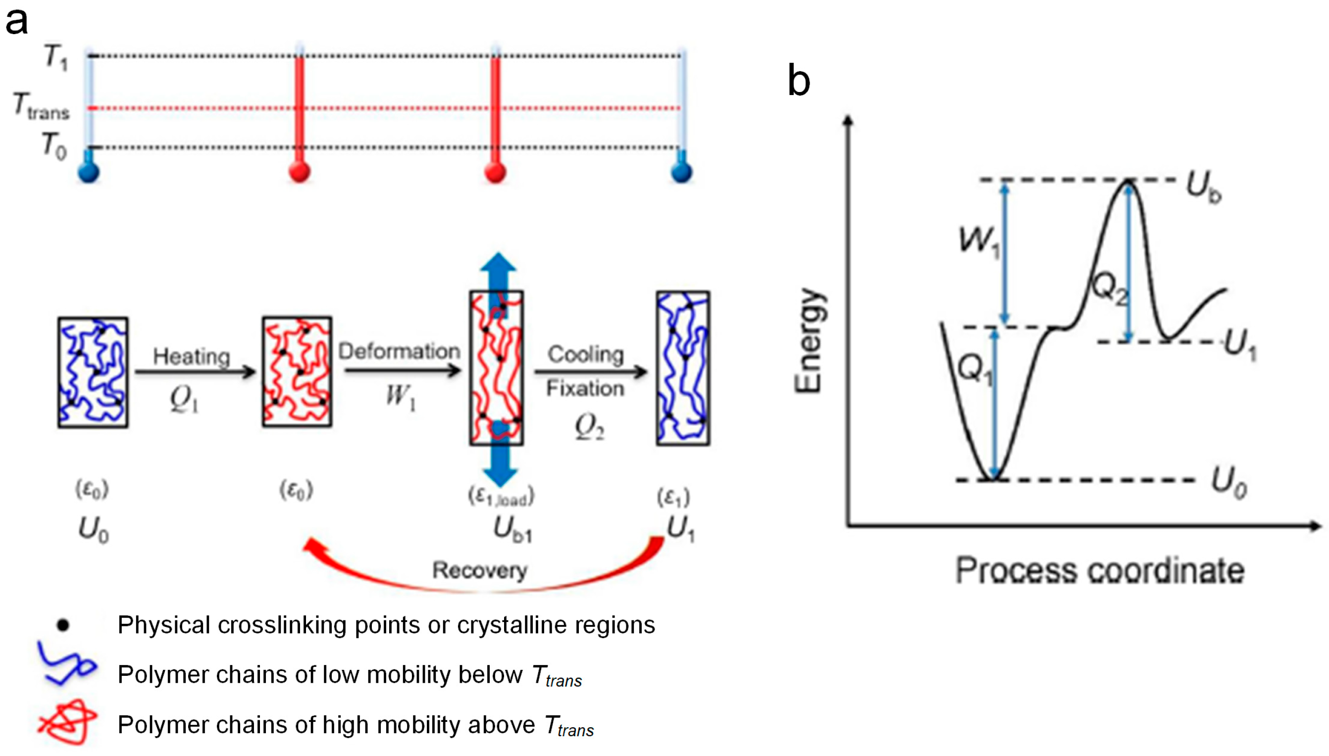 Polymers 17 01360 g005