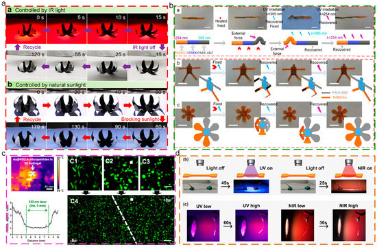 Research Status and Potential Direction for Thermoplastic Shape