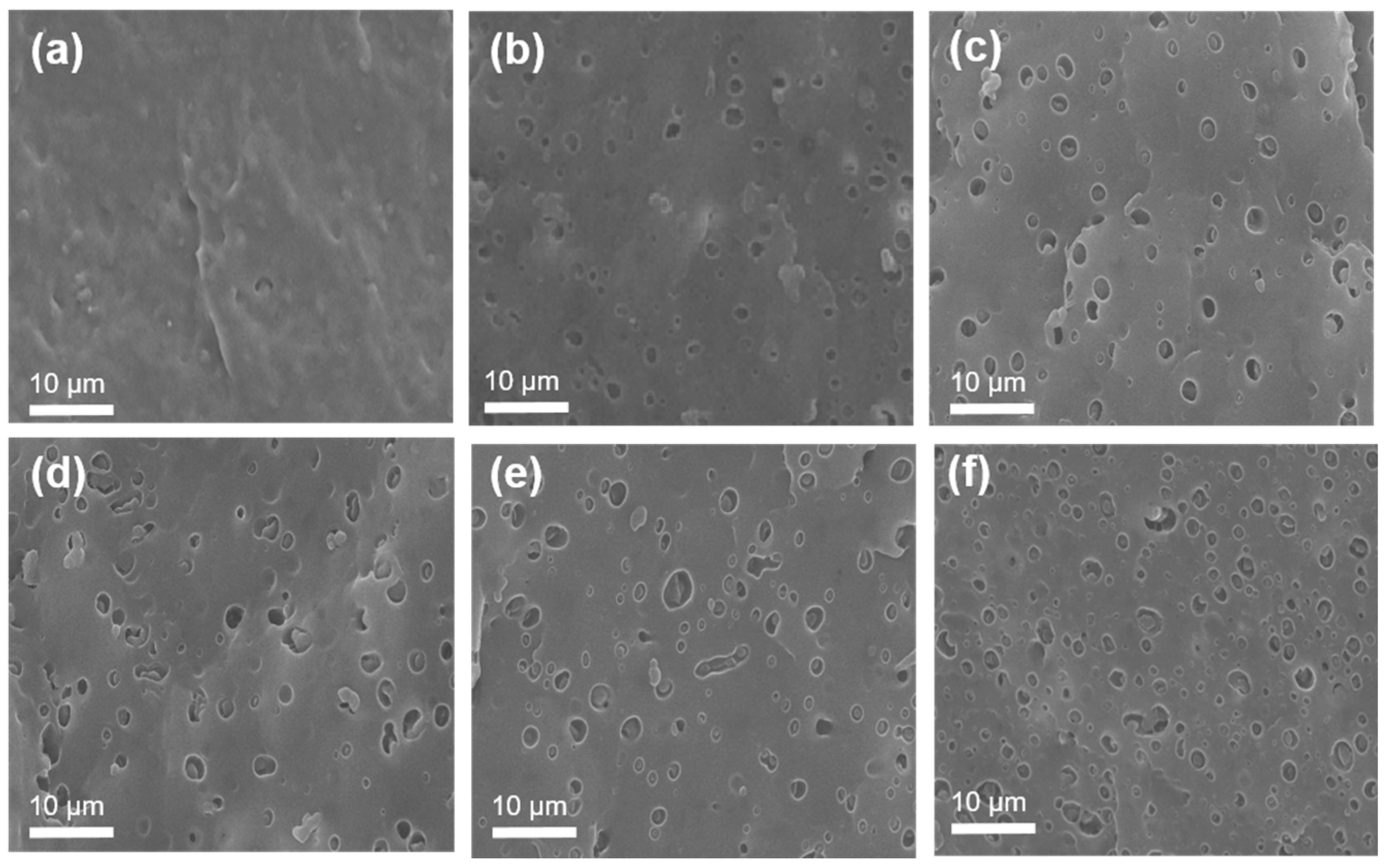Polymers 17 01361 g002