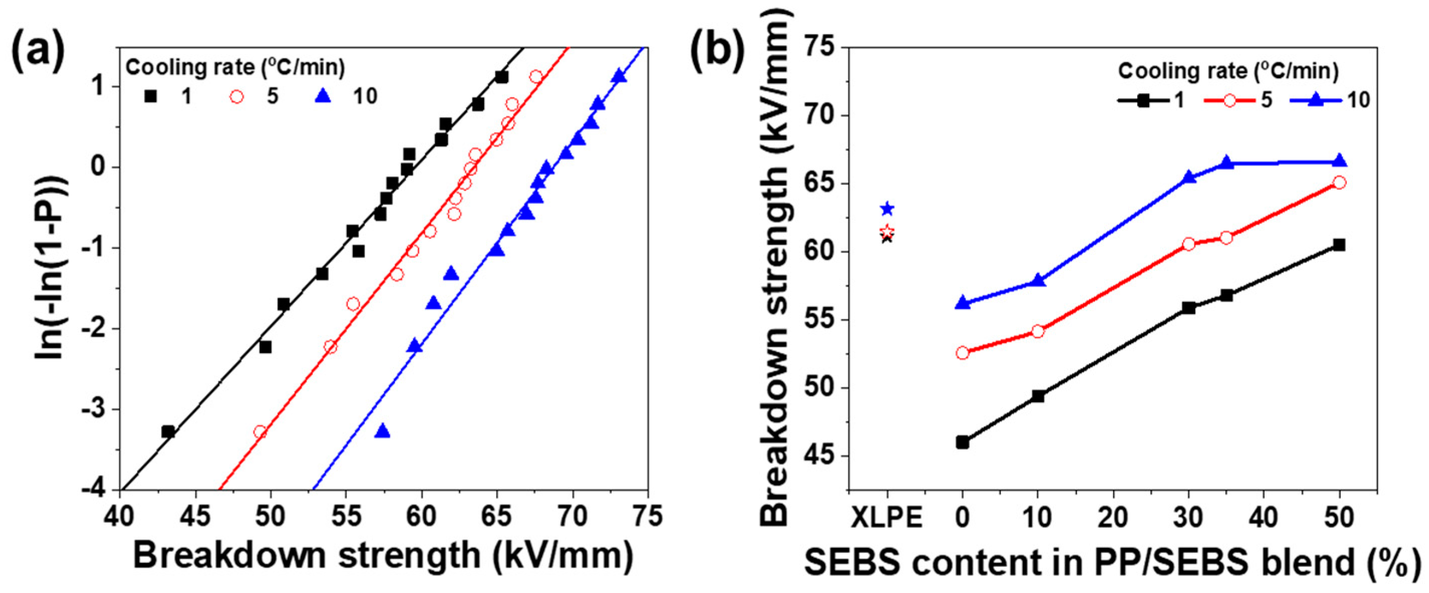 Polymers 17 01361 g007