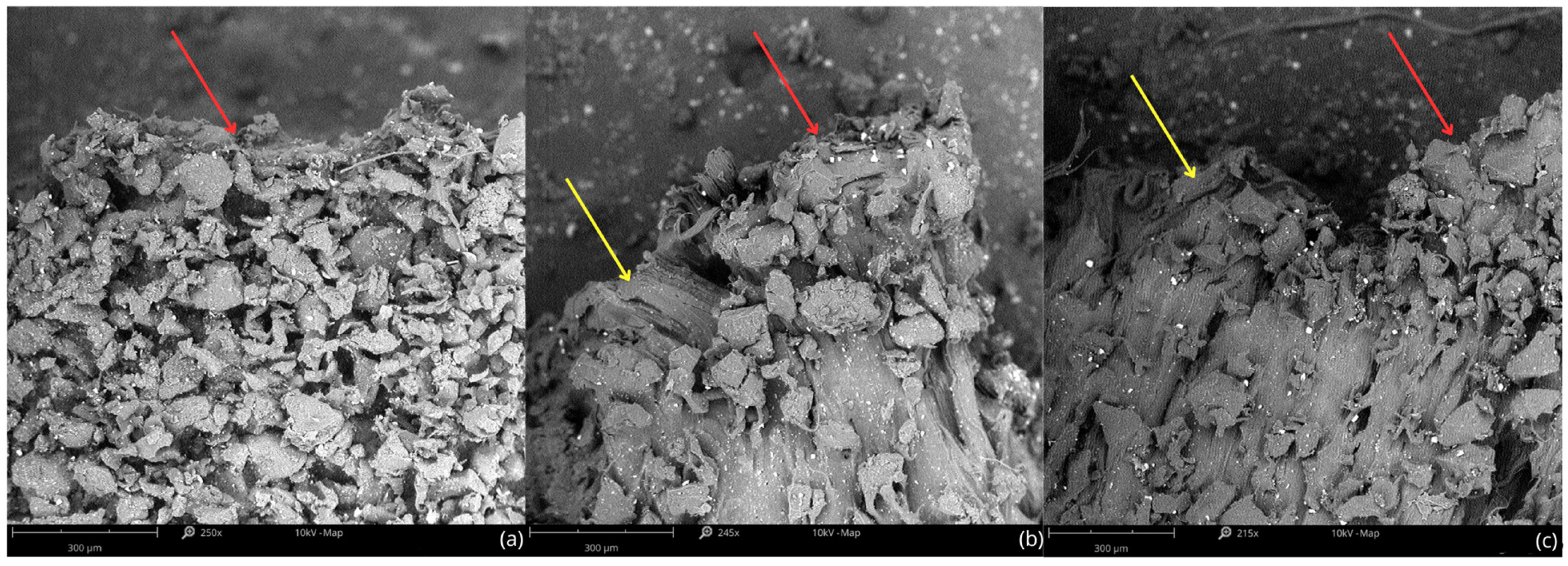 Polymers 17 01363 g011