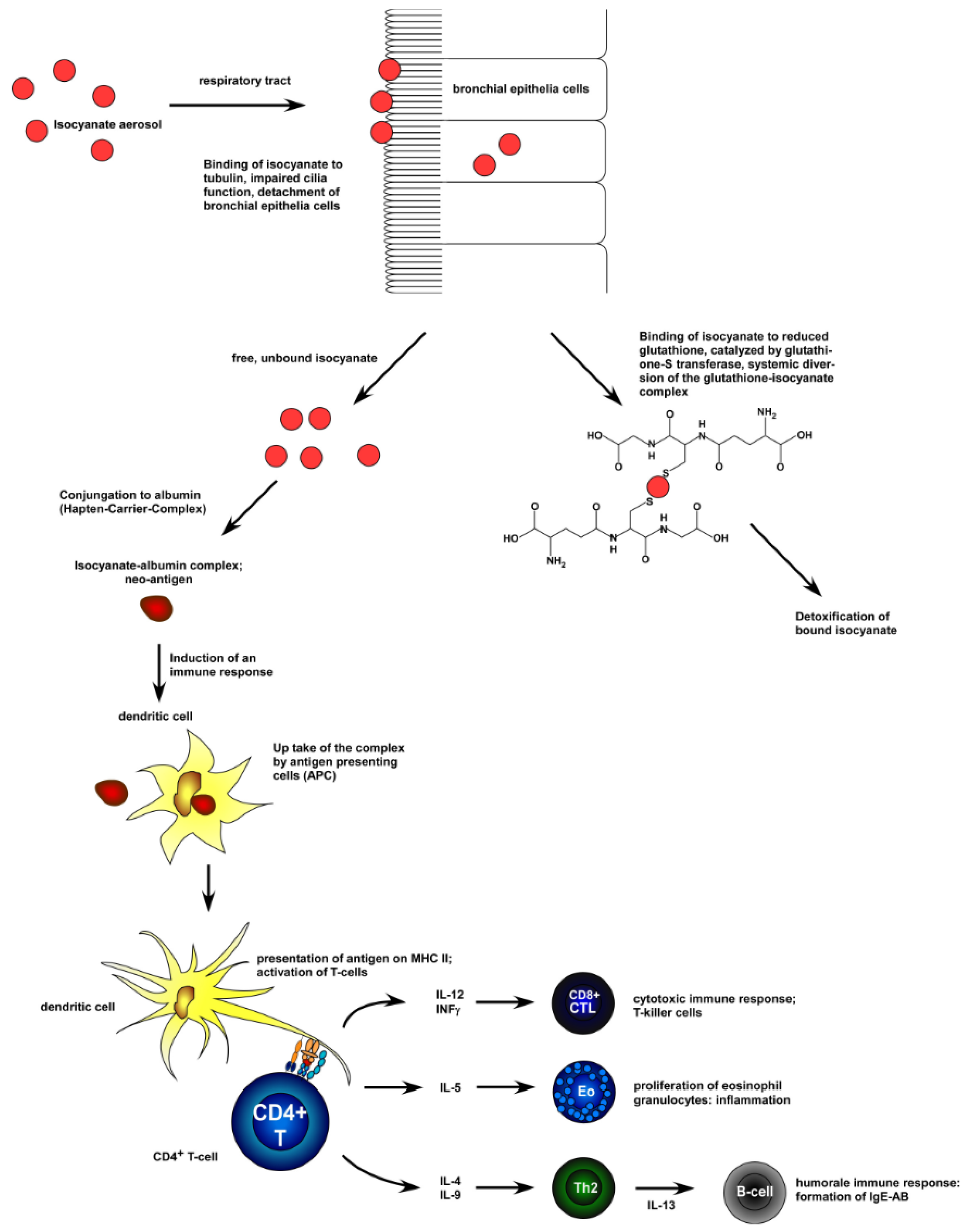 Polymers 17 01364 g002