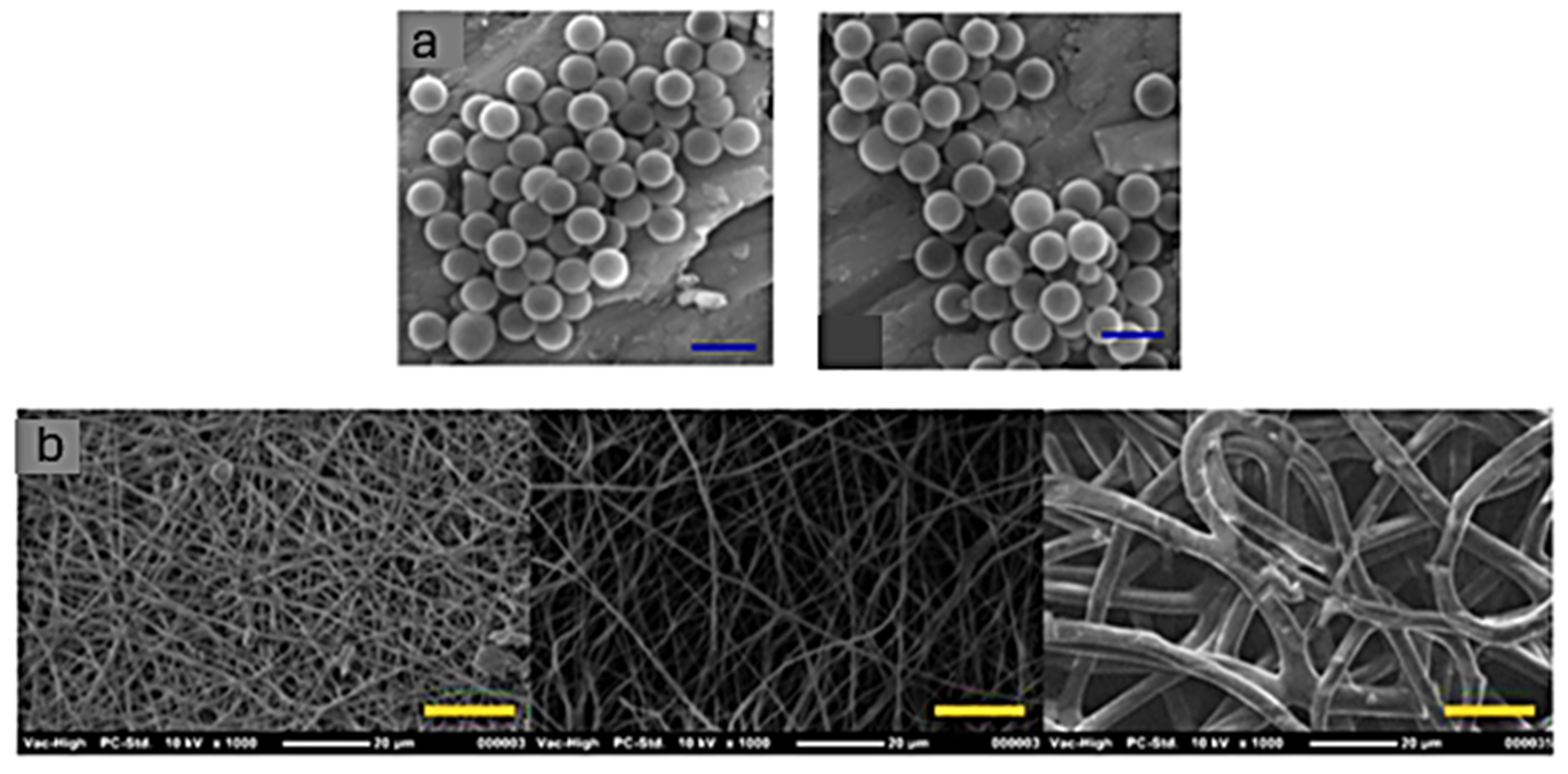Polymers 17 01364 g017
