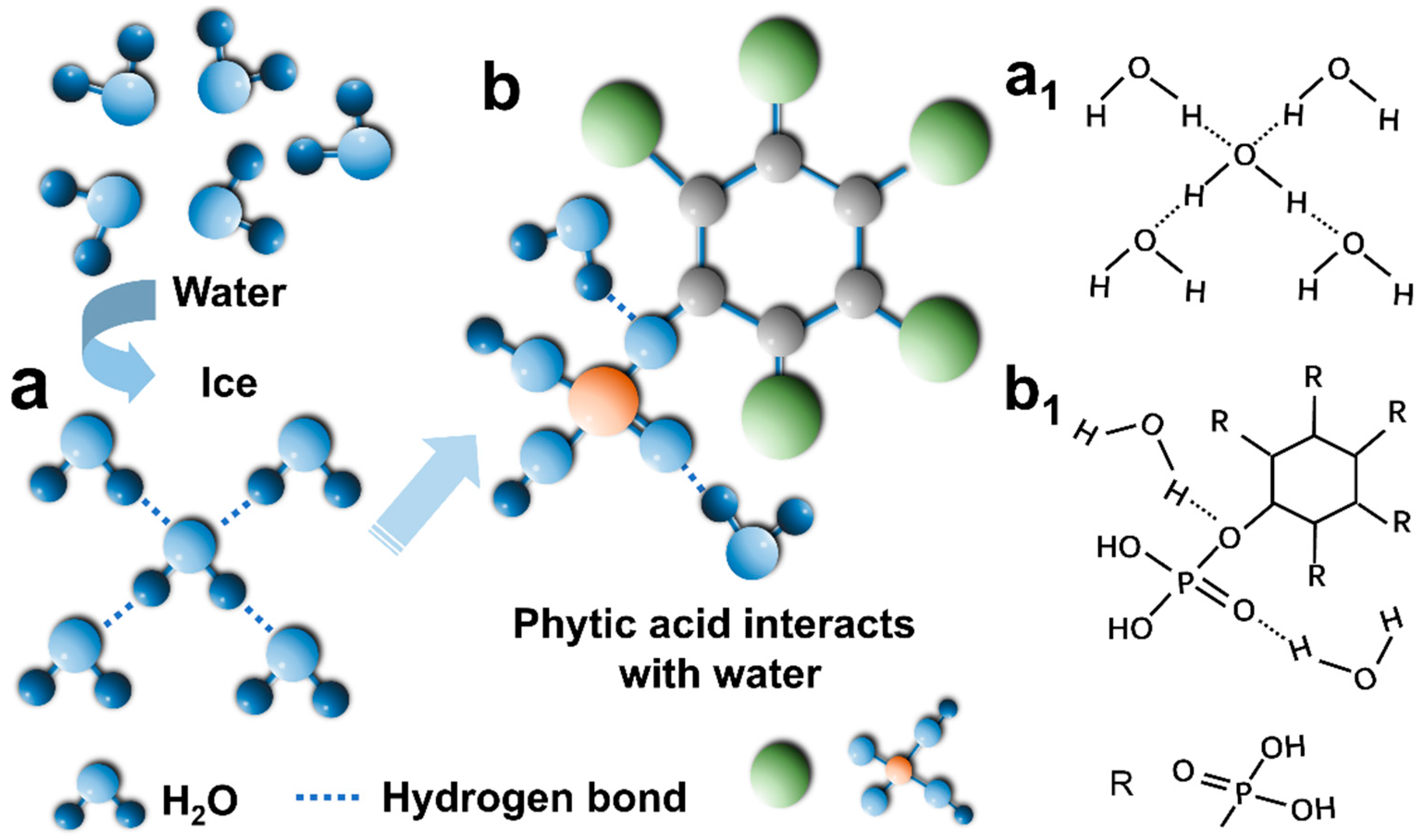 Polymers 17 01365 g004