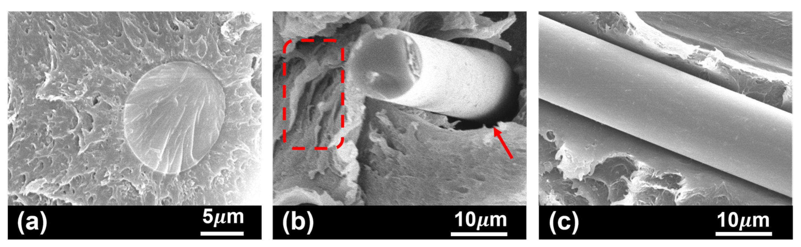 Polymers 17 01366 g007