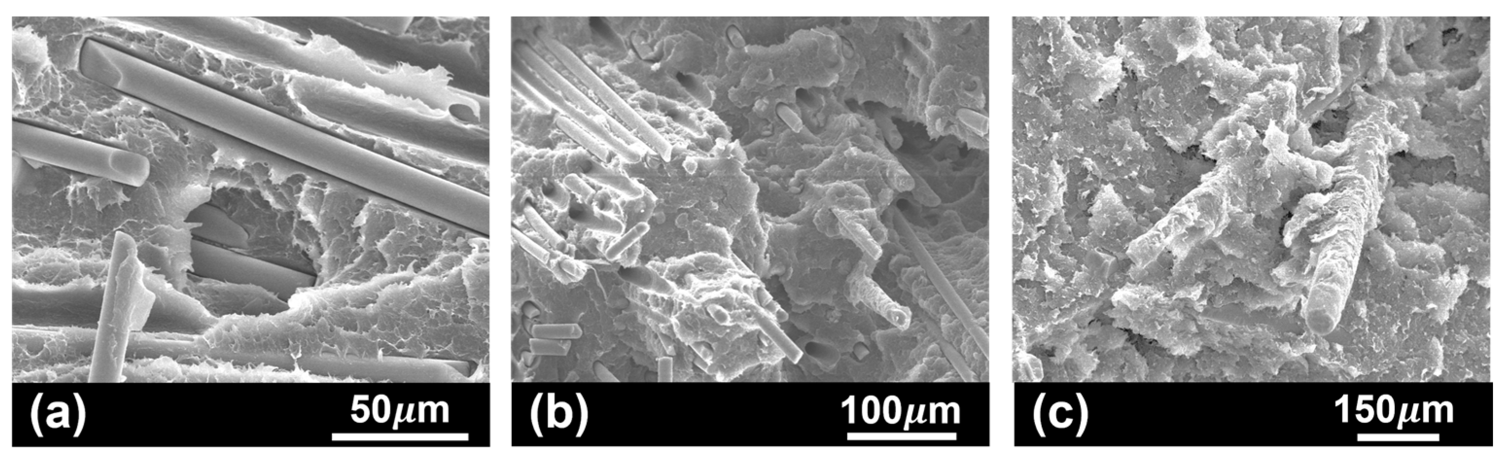 Polymers 17 01366 g009