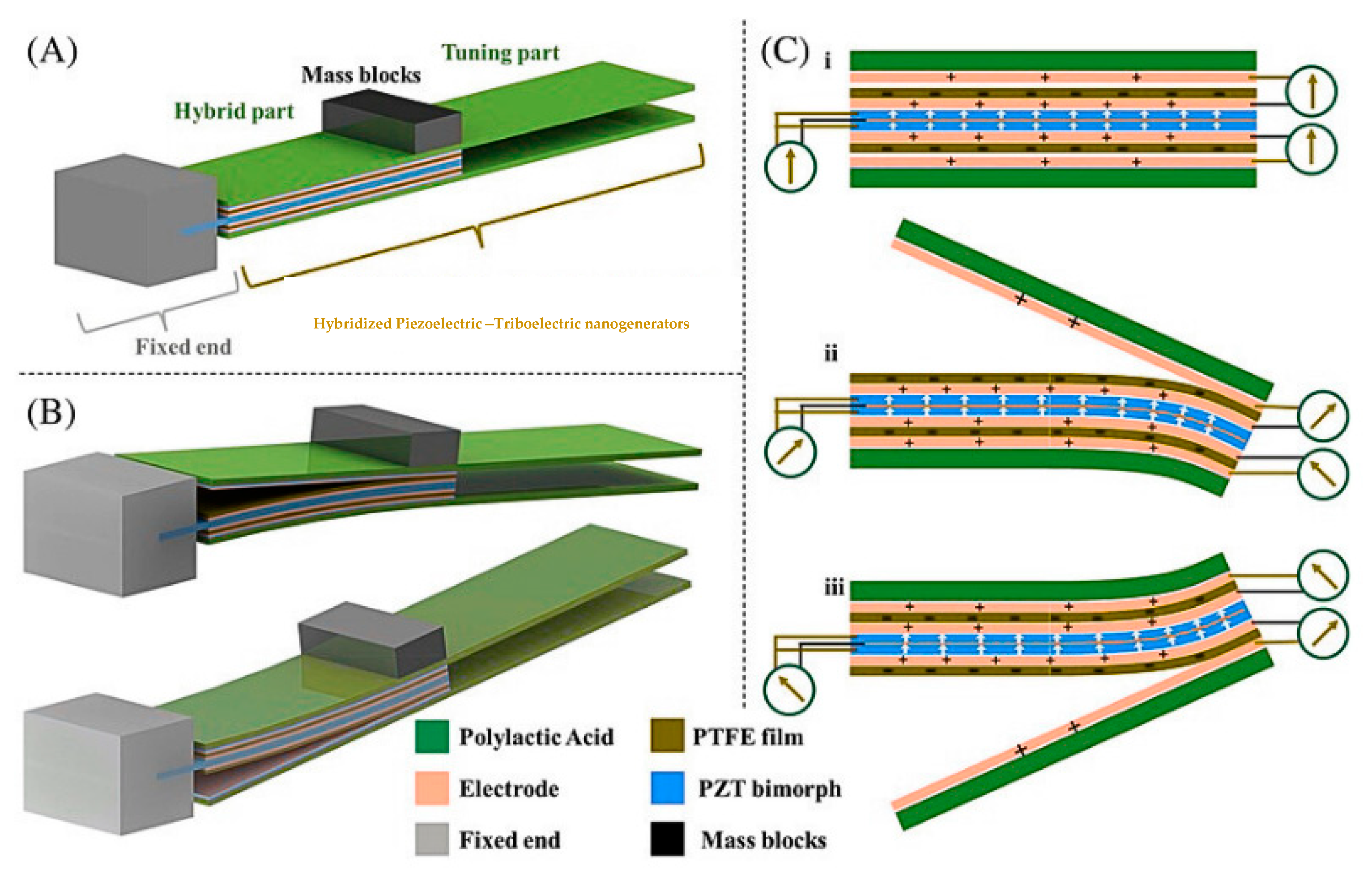 Polymers 17 01367 g004