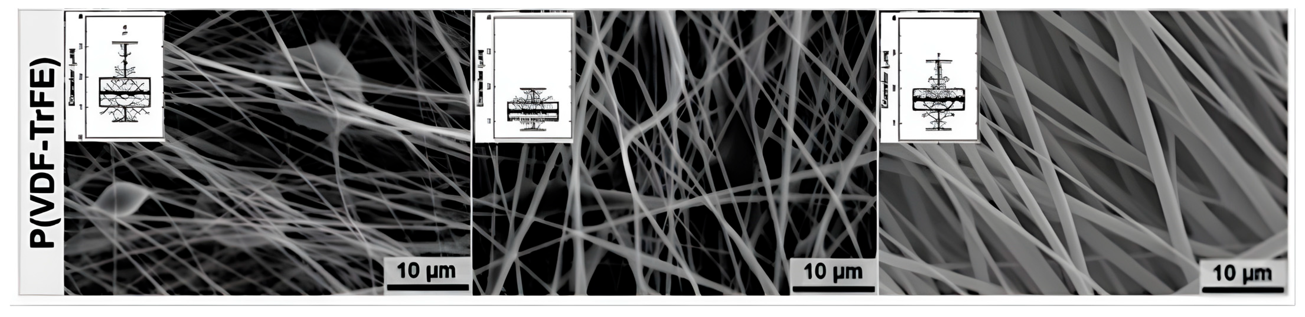 Polymers 17 01367 g006