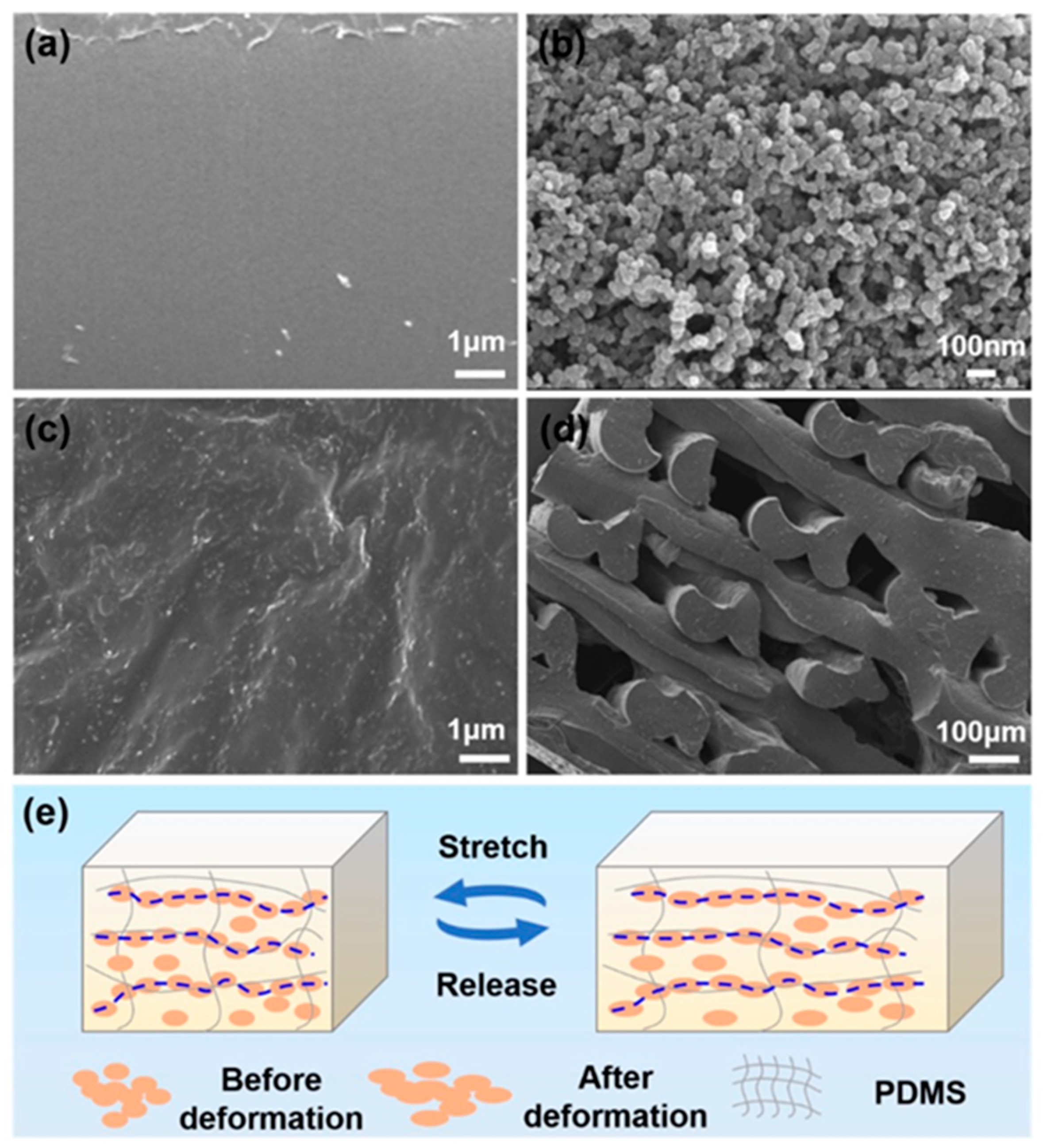 Polymers 17 01367 g008