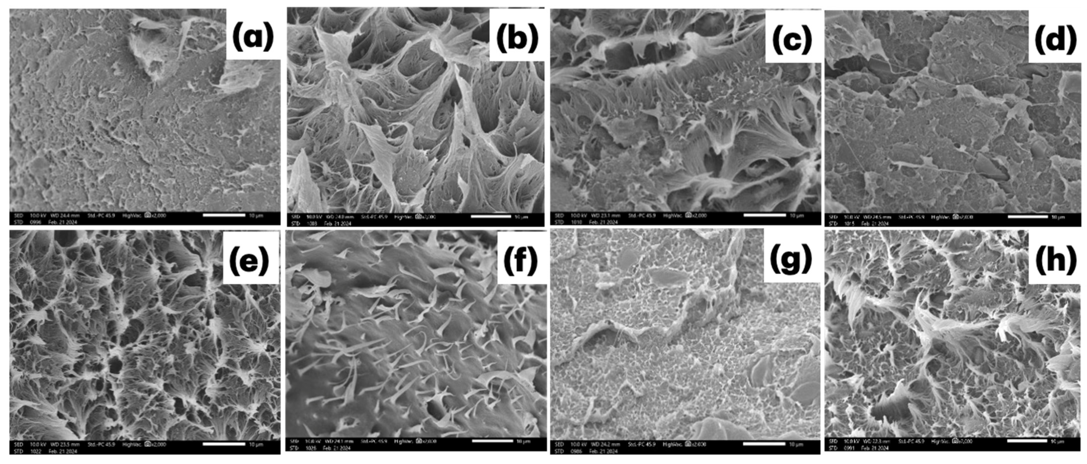 Polymers 17 01370 g005