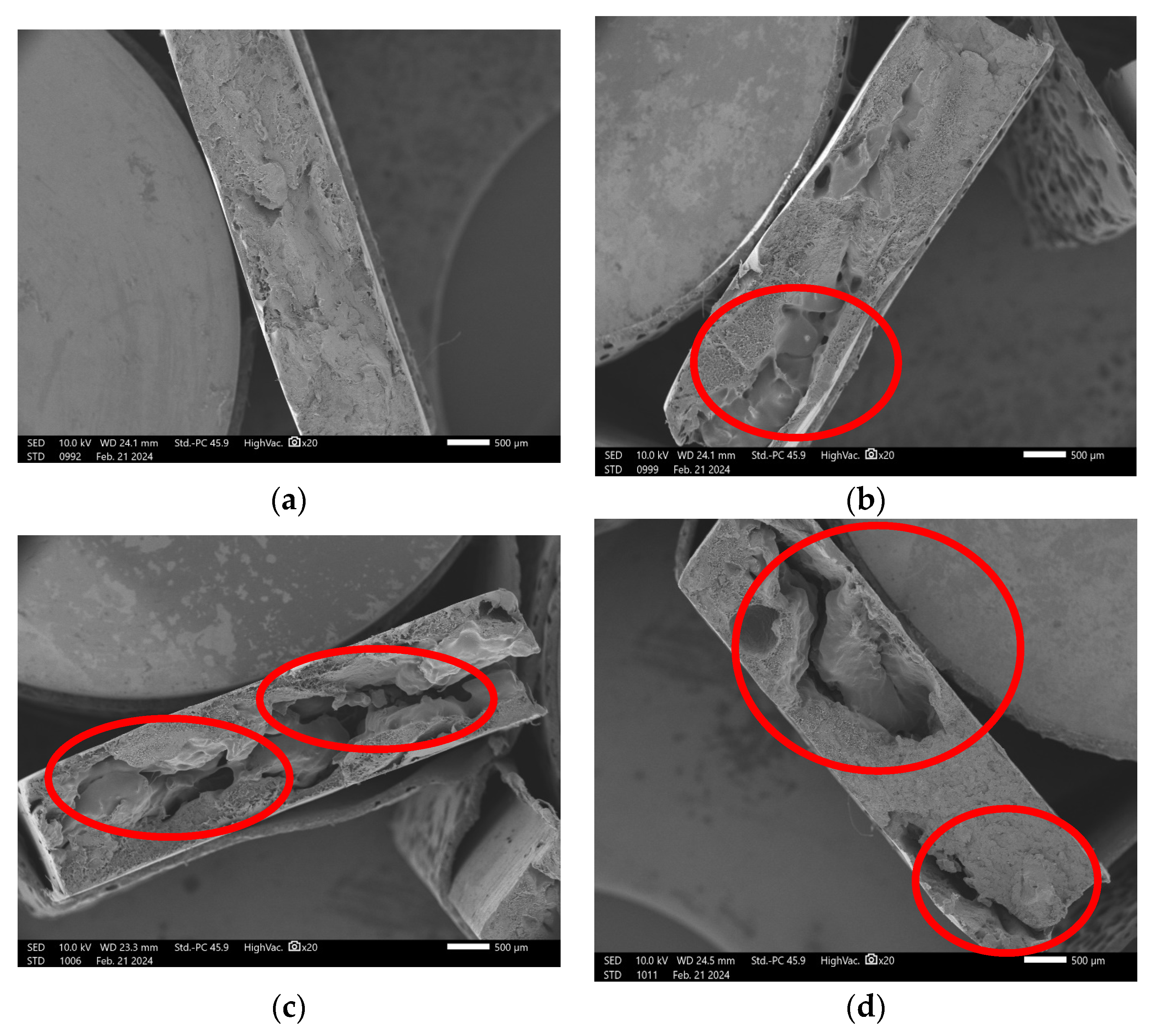 Polymers 17 01370 g006