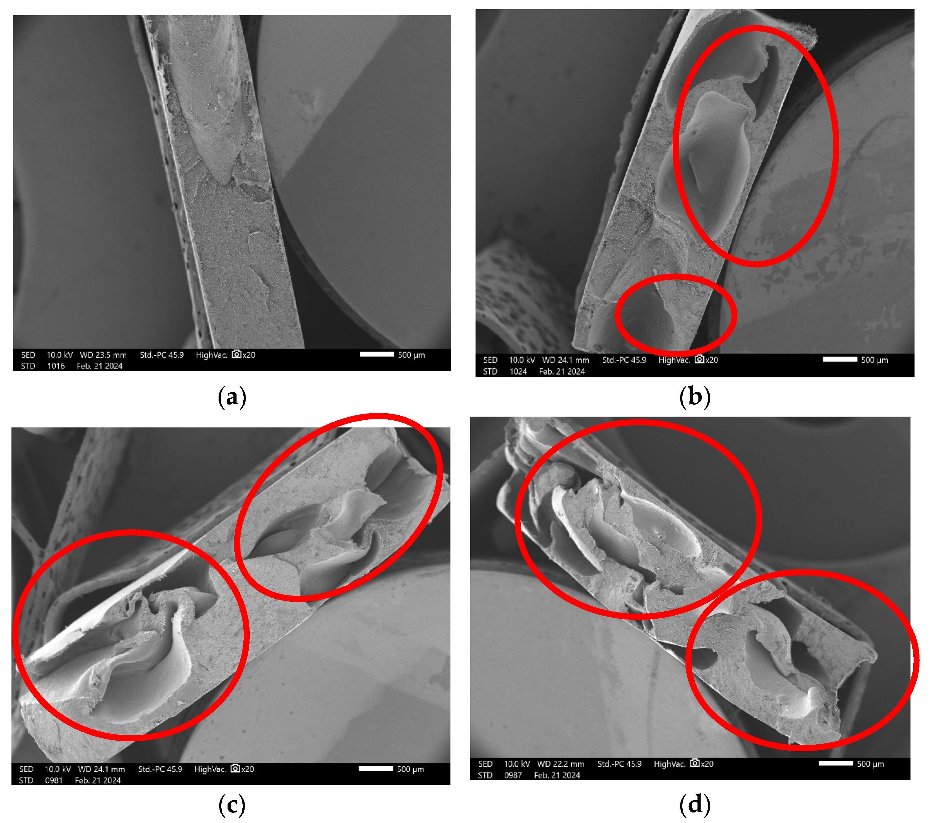 Polymers 17 01370 g007