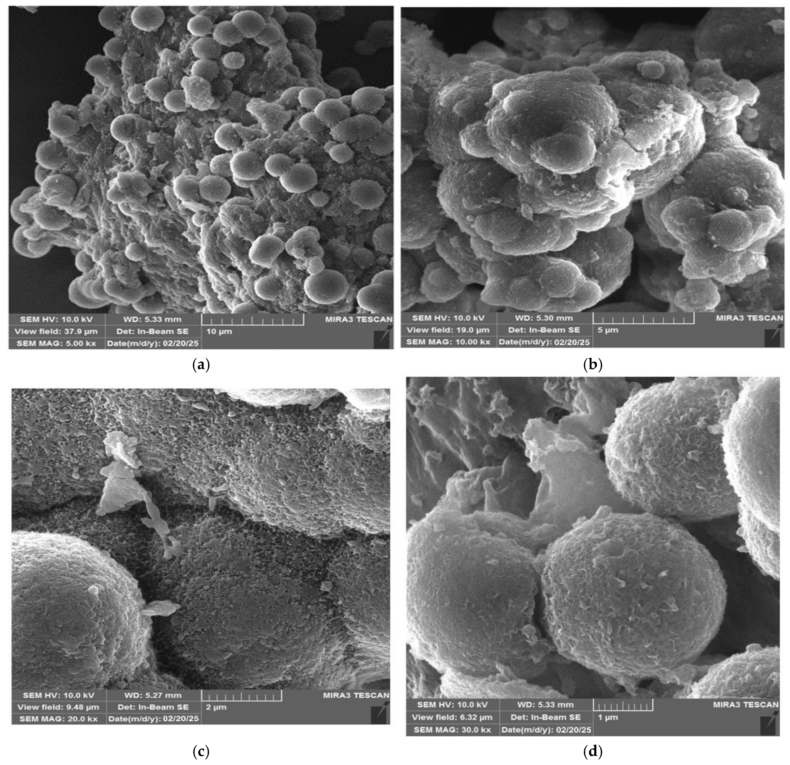 Polymers 17 01375 g004