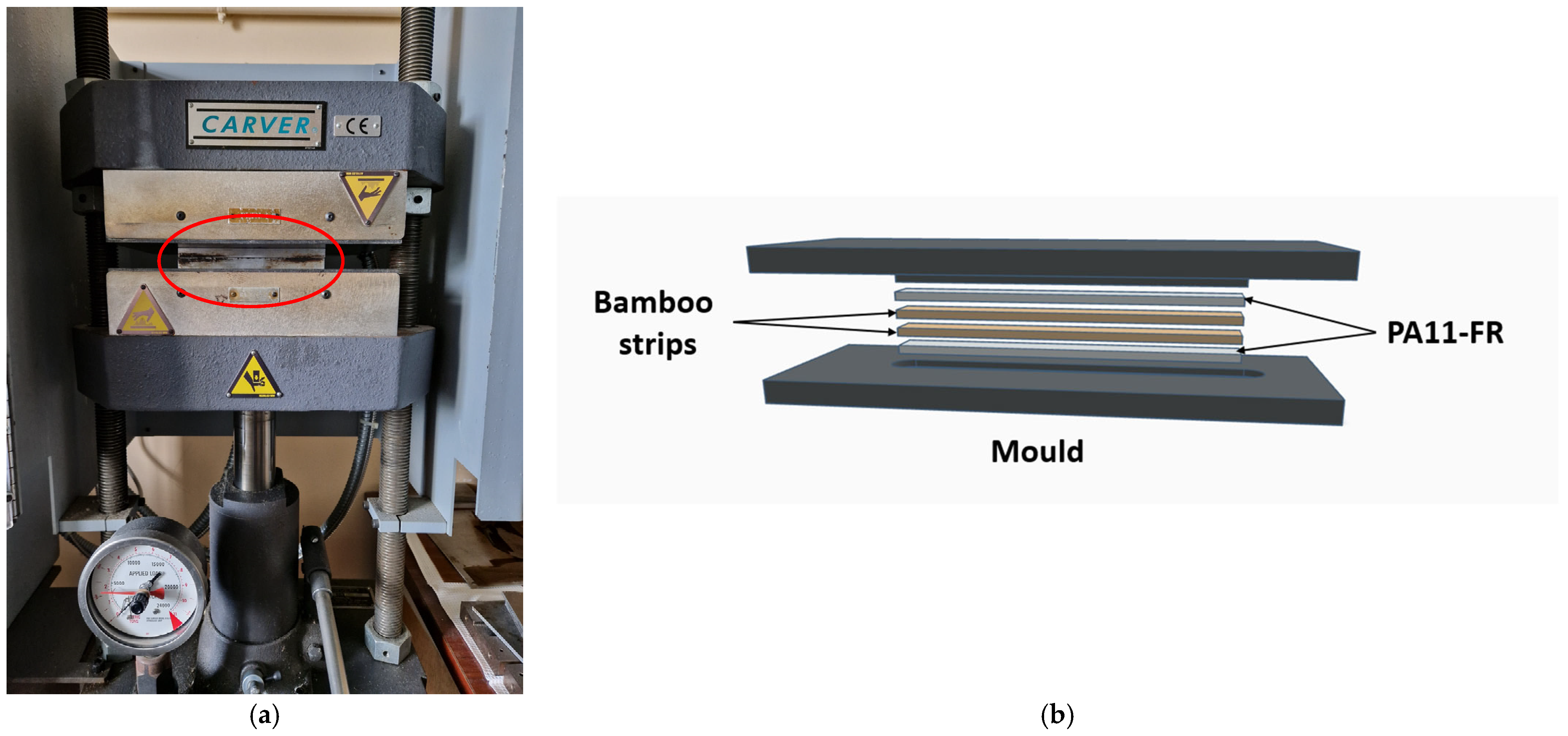 Polymers 17 01379 g001
