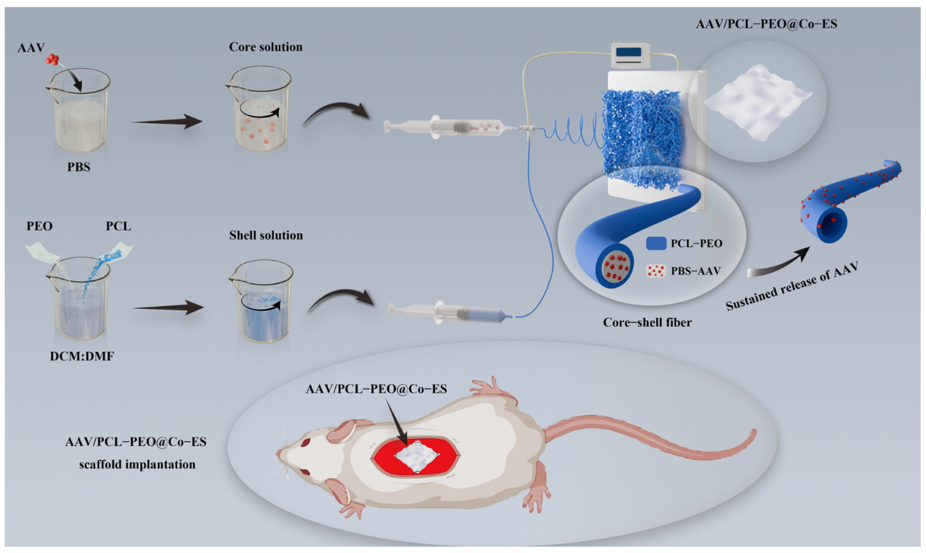 Polymers 17 01381 g001