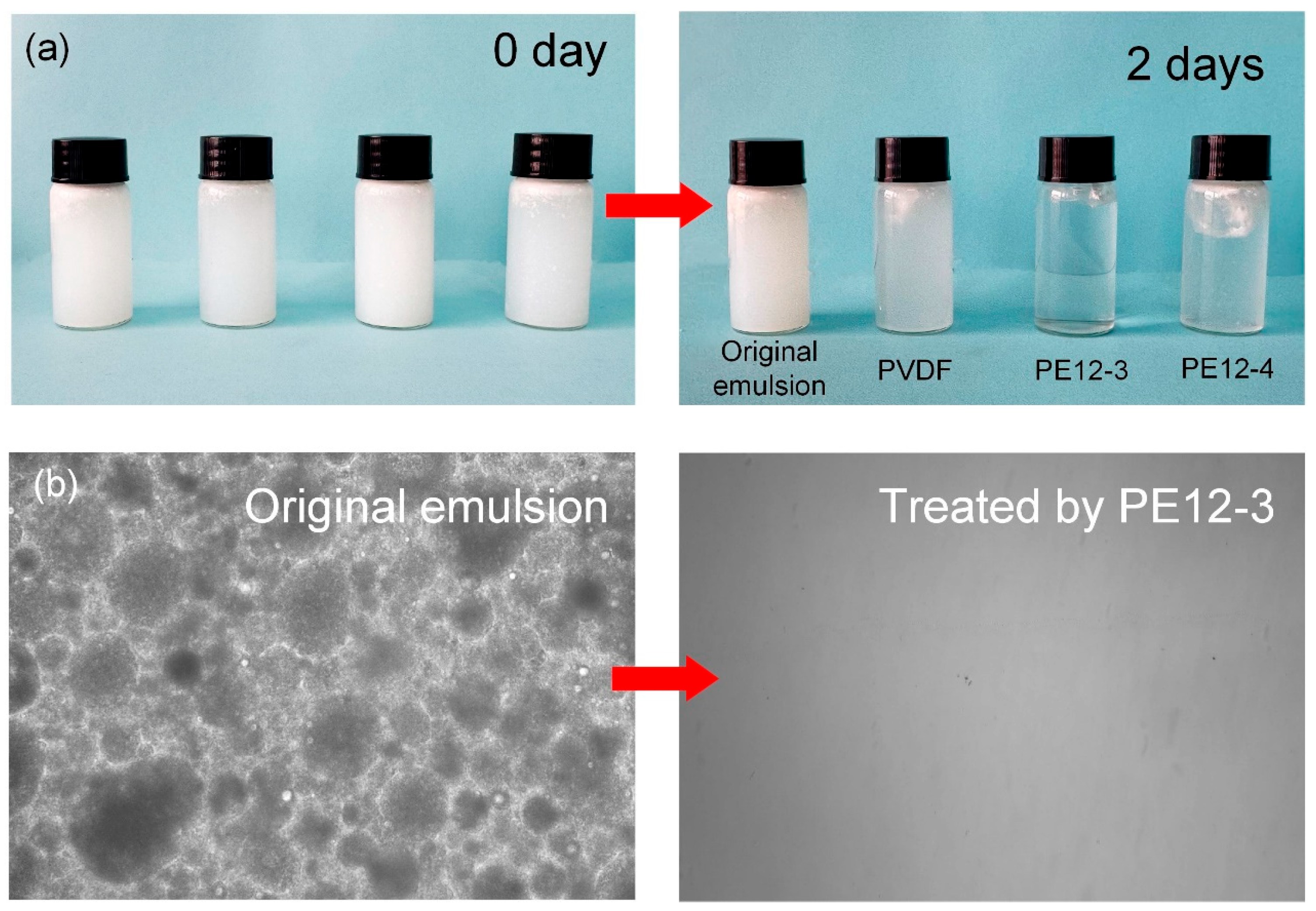 Polymers 17 01389 g009