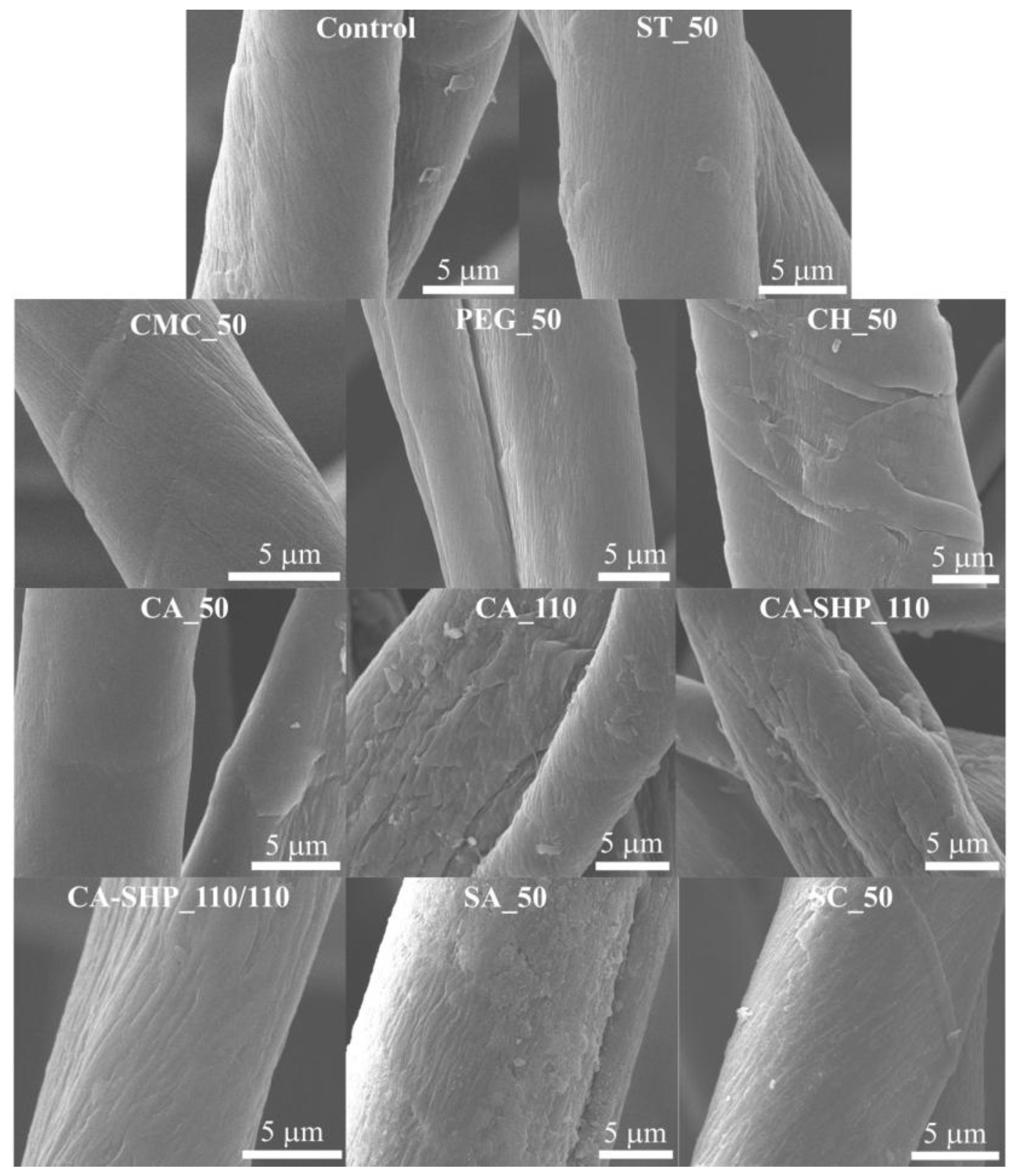 Polymers 17 01392 g001