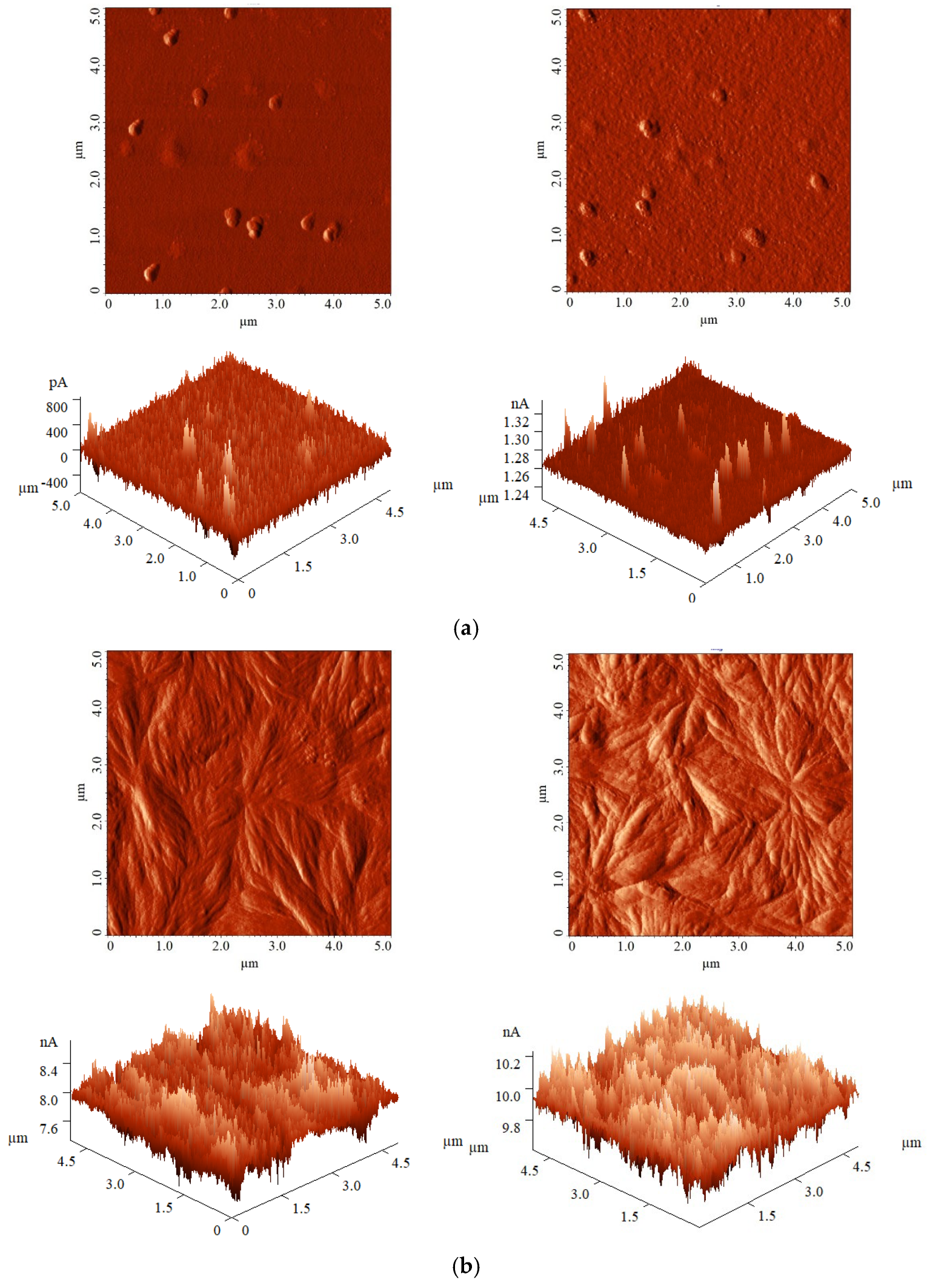Polymers 17 01394 g007 Polymers 17 01394 g007