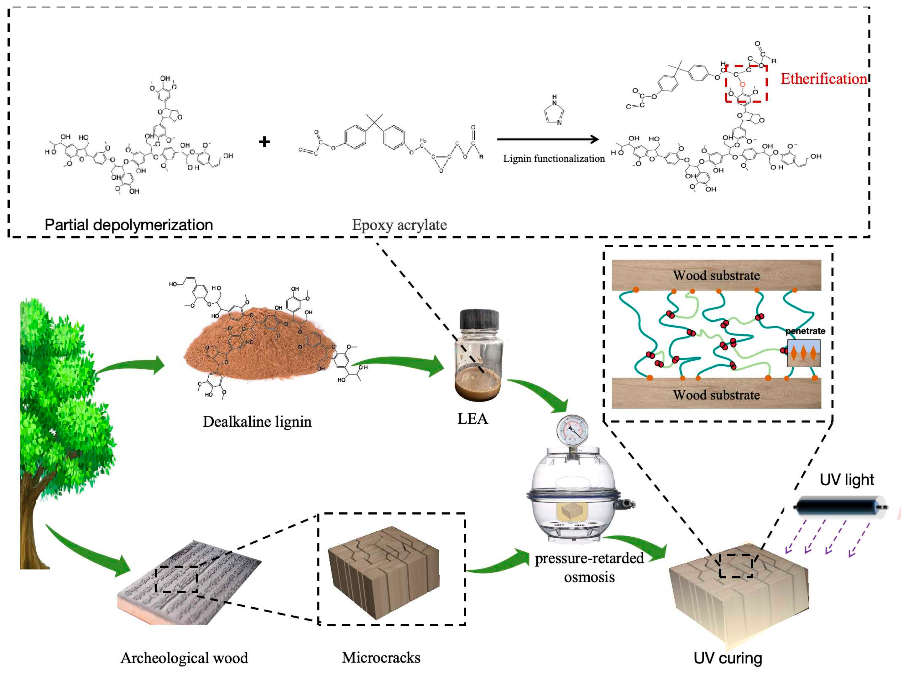 Polymers 17 01395 g001