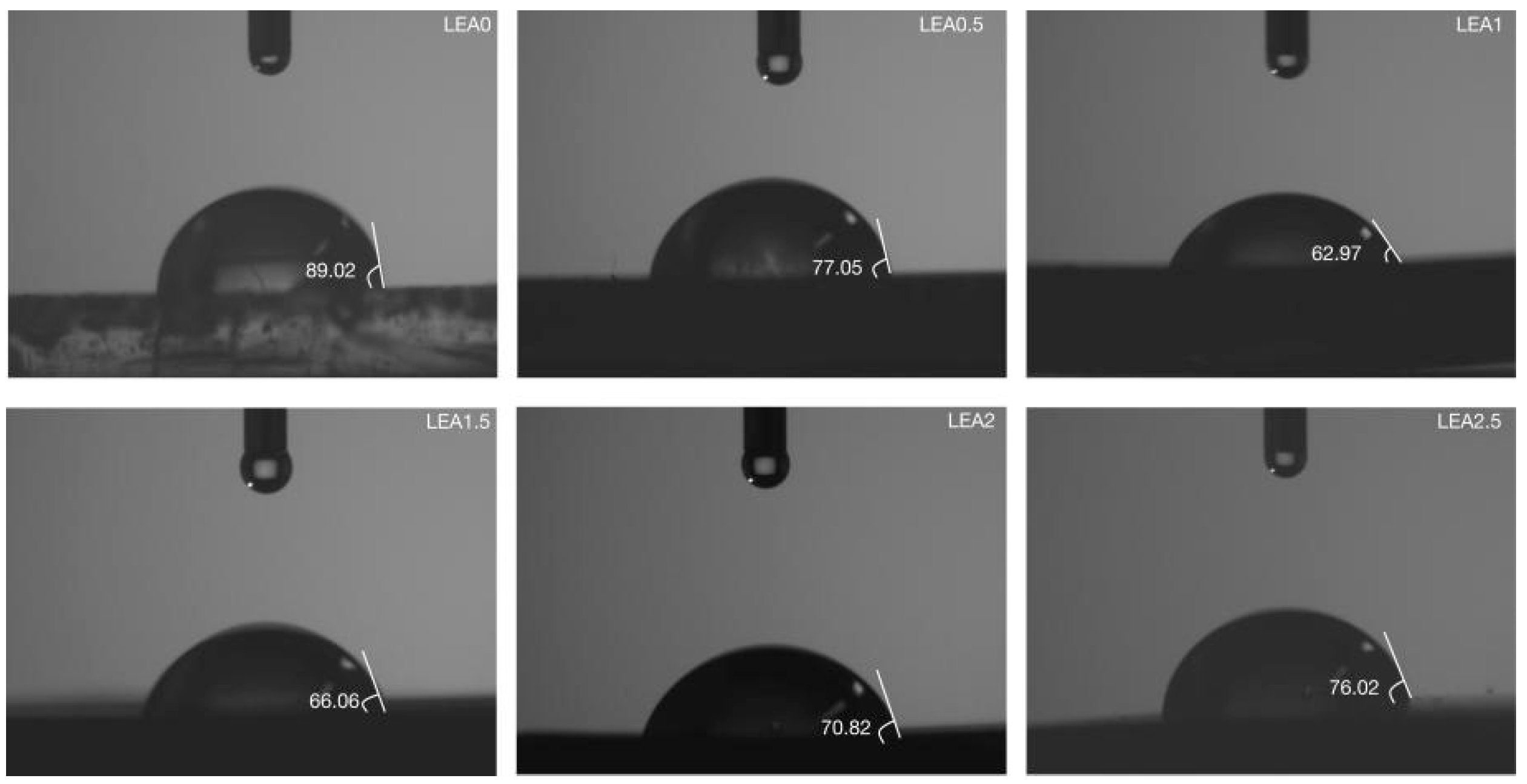Polymers 17 01395 g005