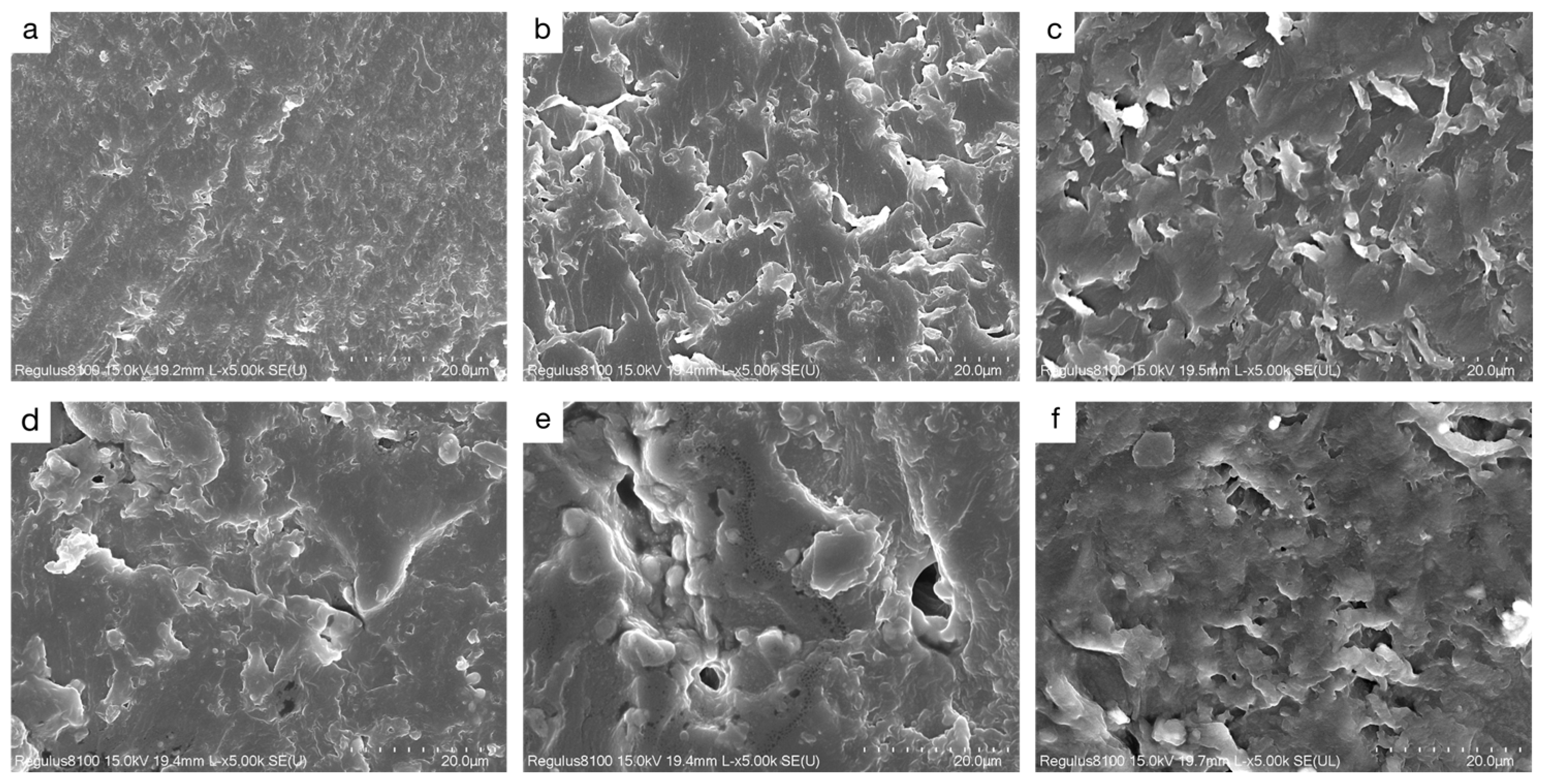 Polymers 17 01395 g008