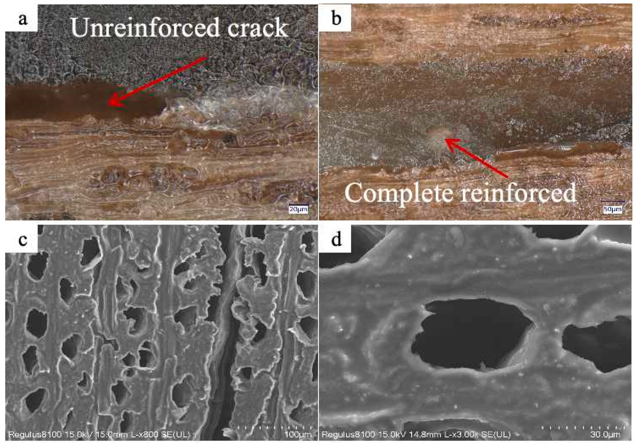 Polymers 17 01395 g012