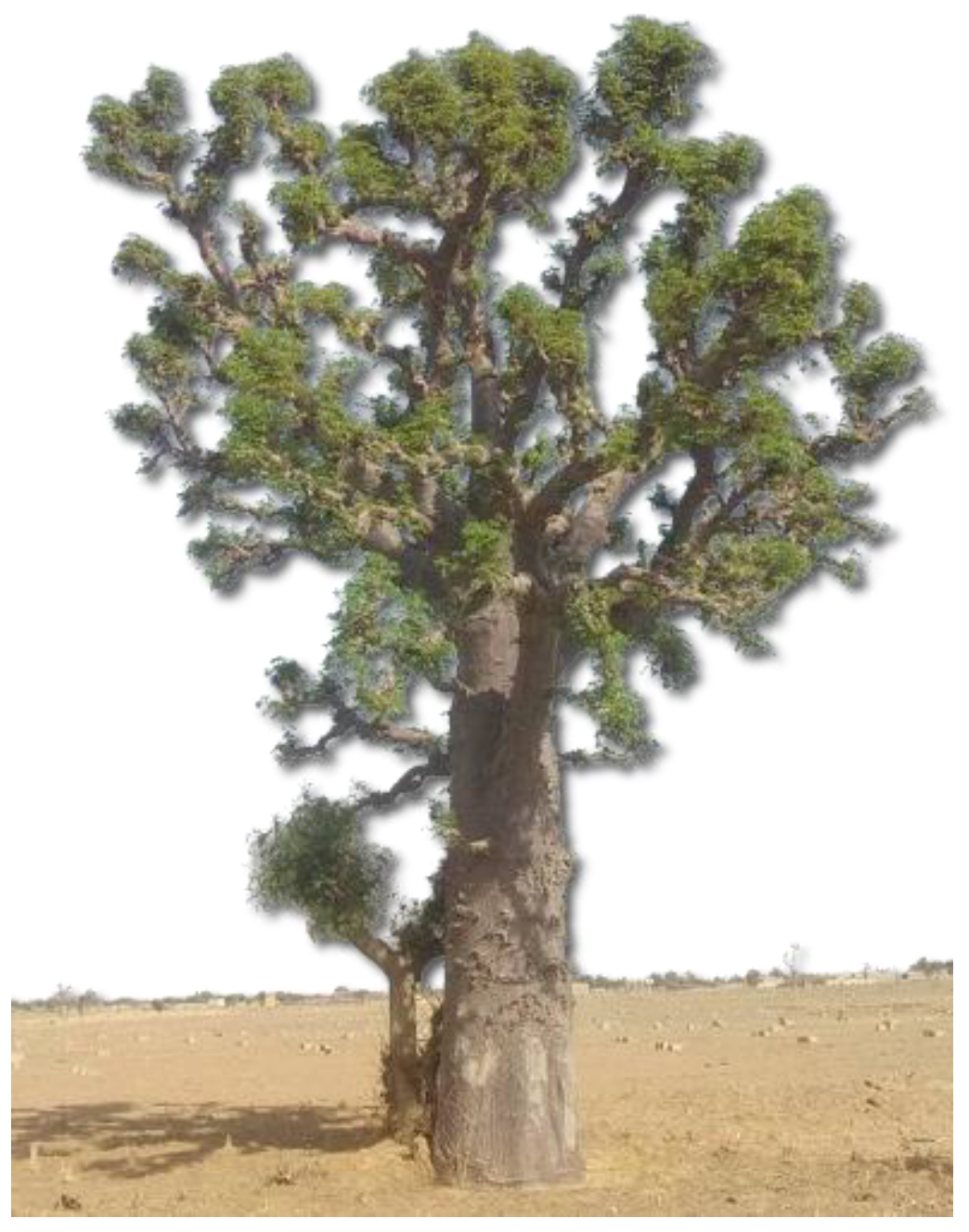 Polymers 17 01396 g001