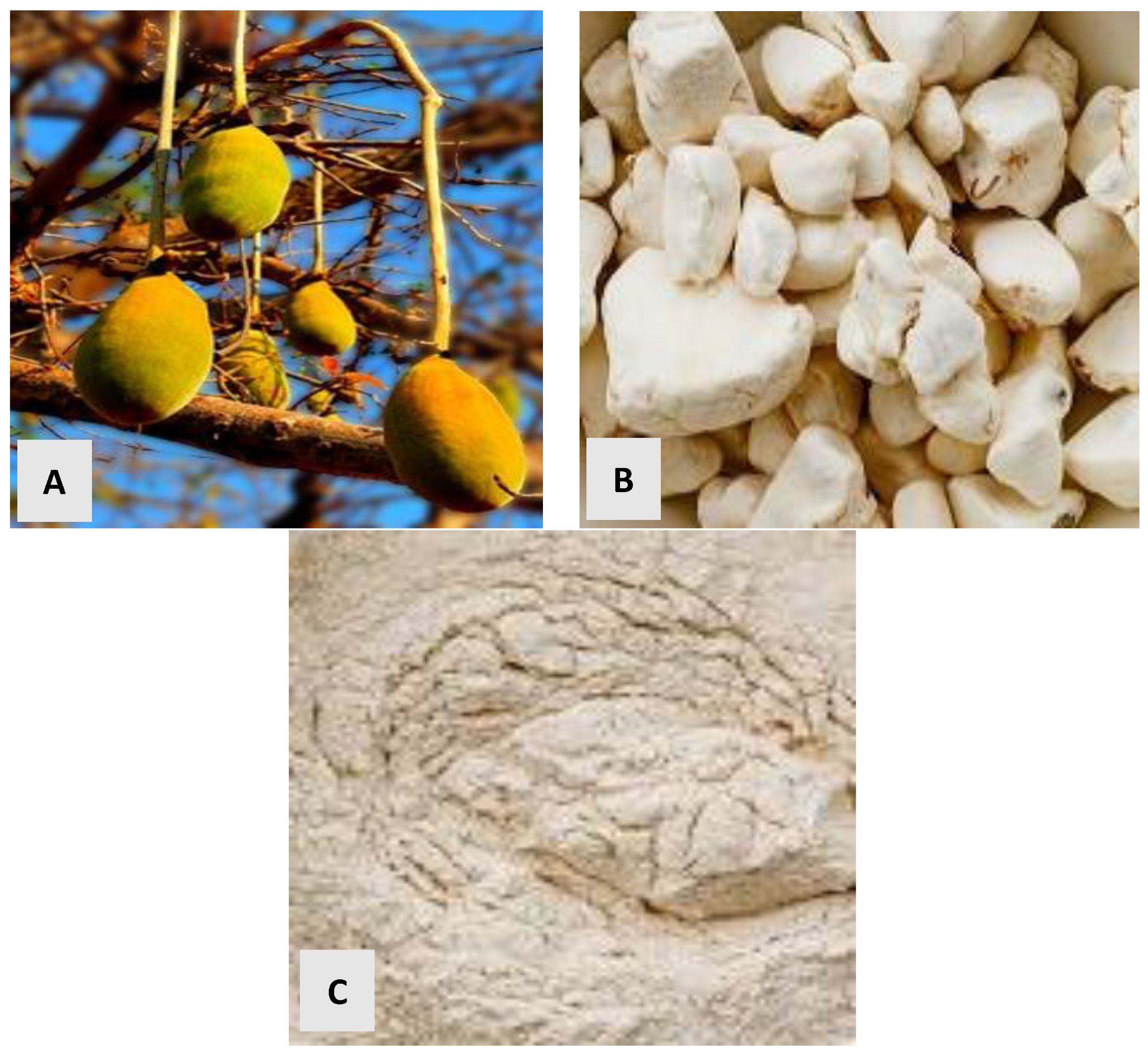 Polymers 17 01396 g002