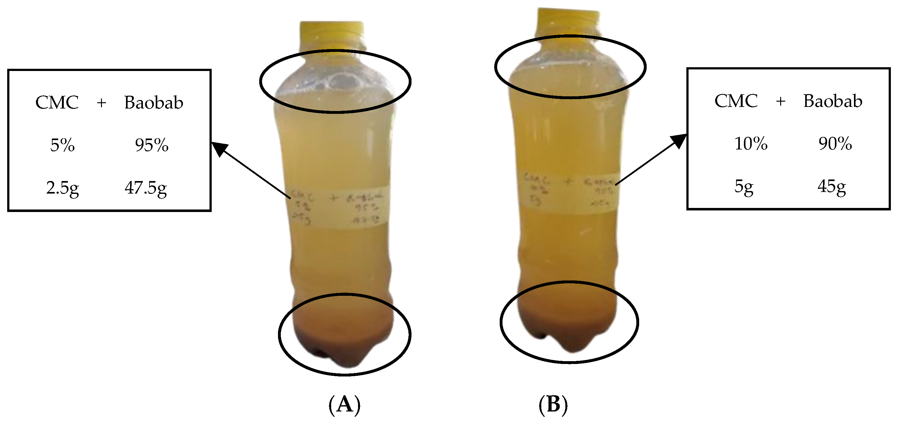 Polymers 17 01396 g006