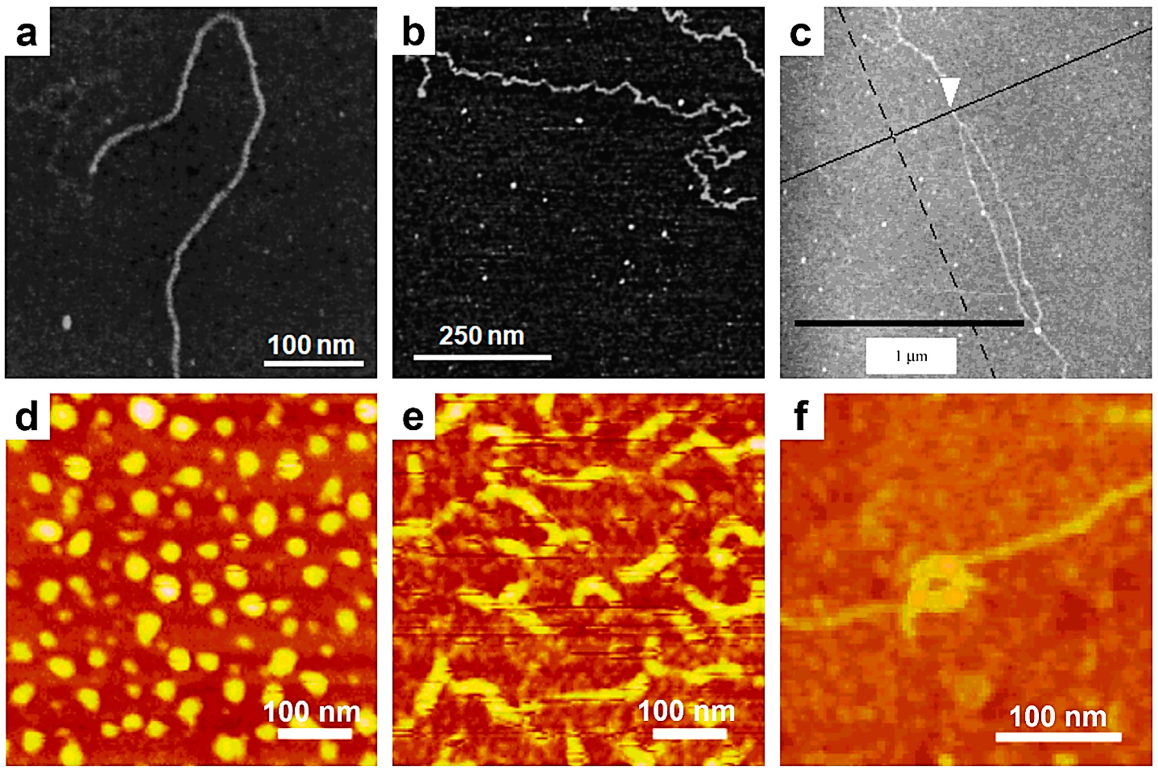 Polymers 17 01397 g002