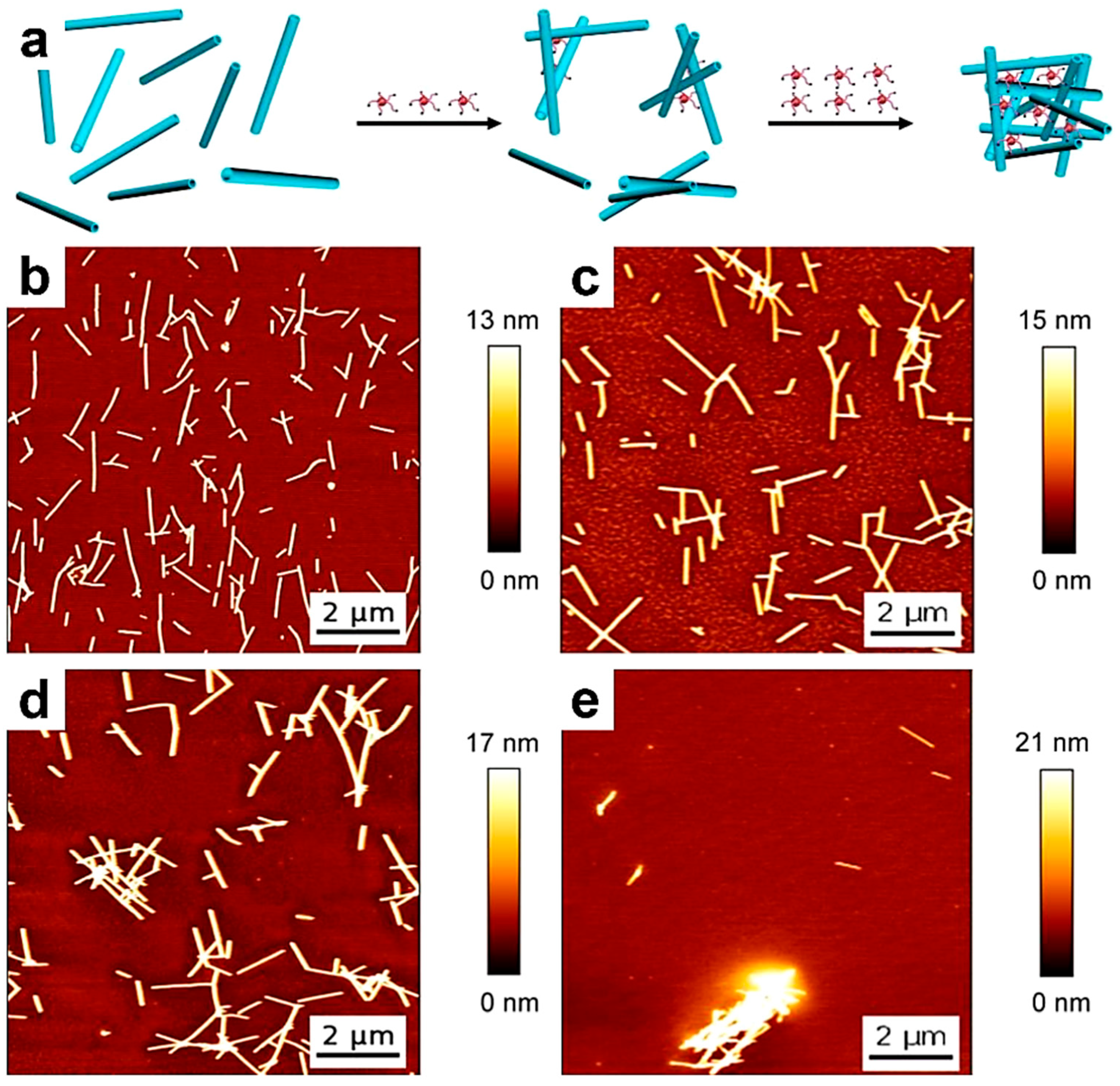 Polymers 17 01397 g005