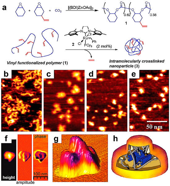 Engineering a Bifunctional Smart Nanoplatform Integrating