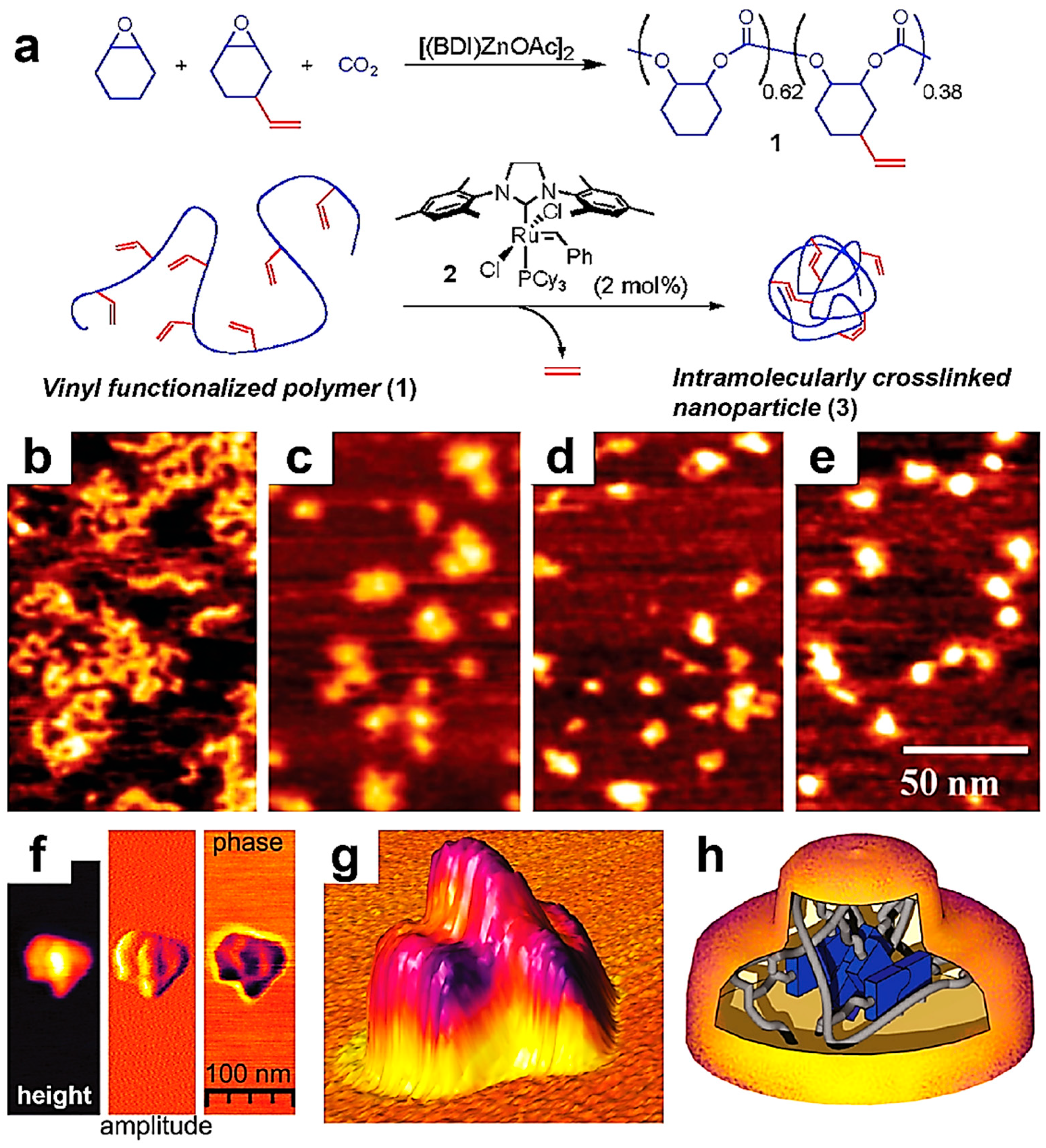 Polymers 17 01397 g007