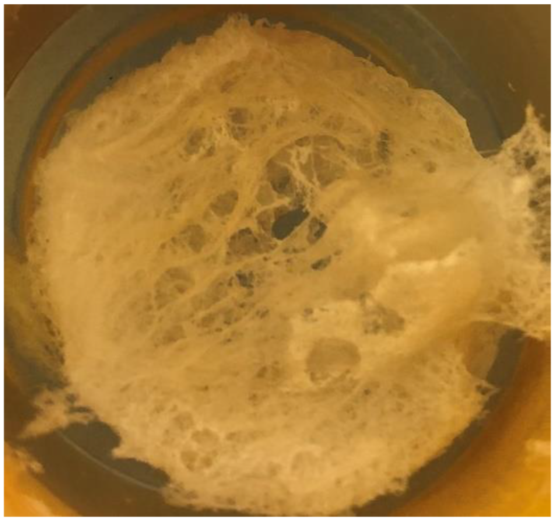 Polymers 17 01398 g003