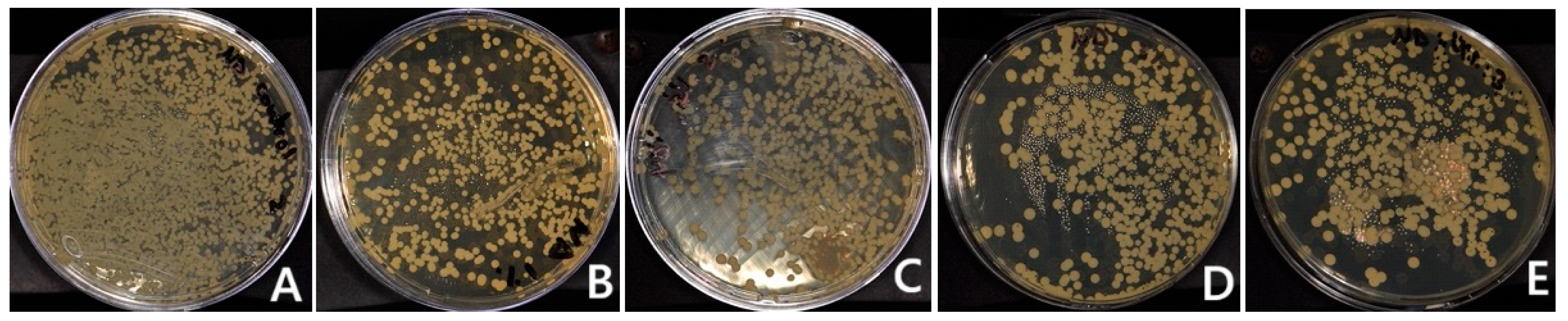 Polymers 17 01403 g003 Polymers 17 01403 g003