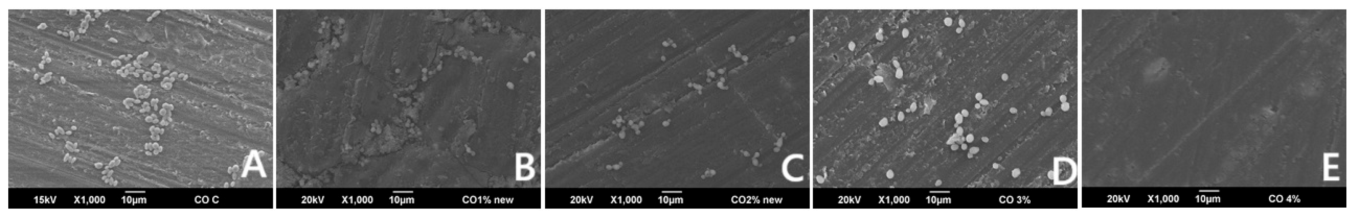 Polymers 17 01403 g004 Polymers 17 01403 g004
