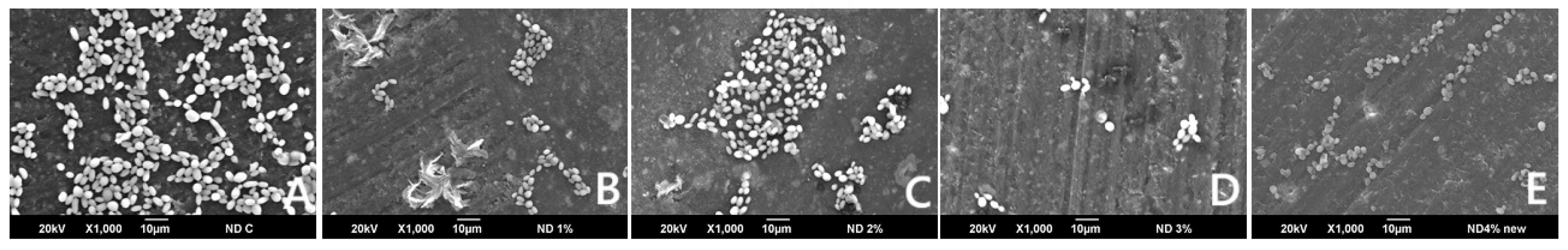 Polymers 17 01403 g005 Polymers 17 01403 g005