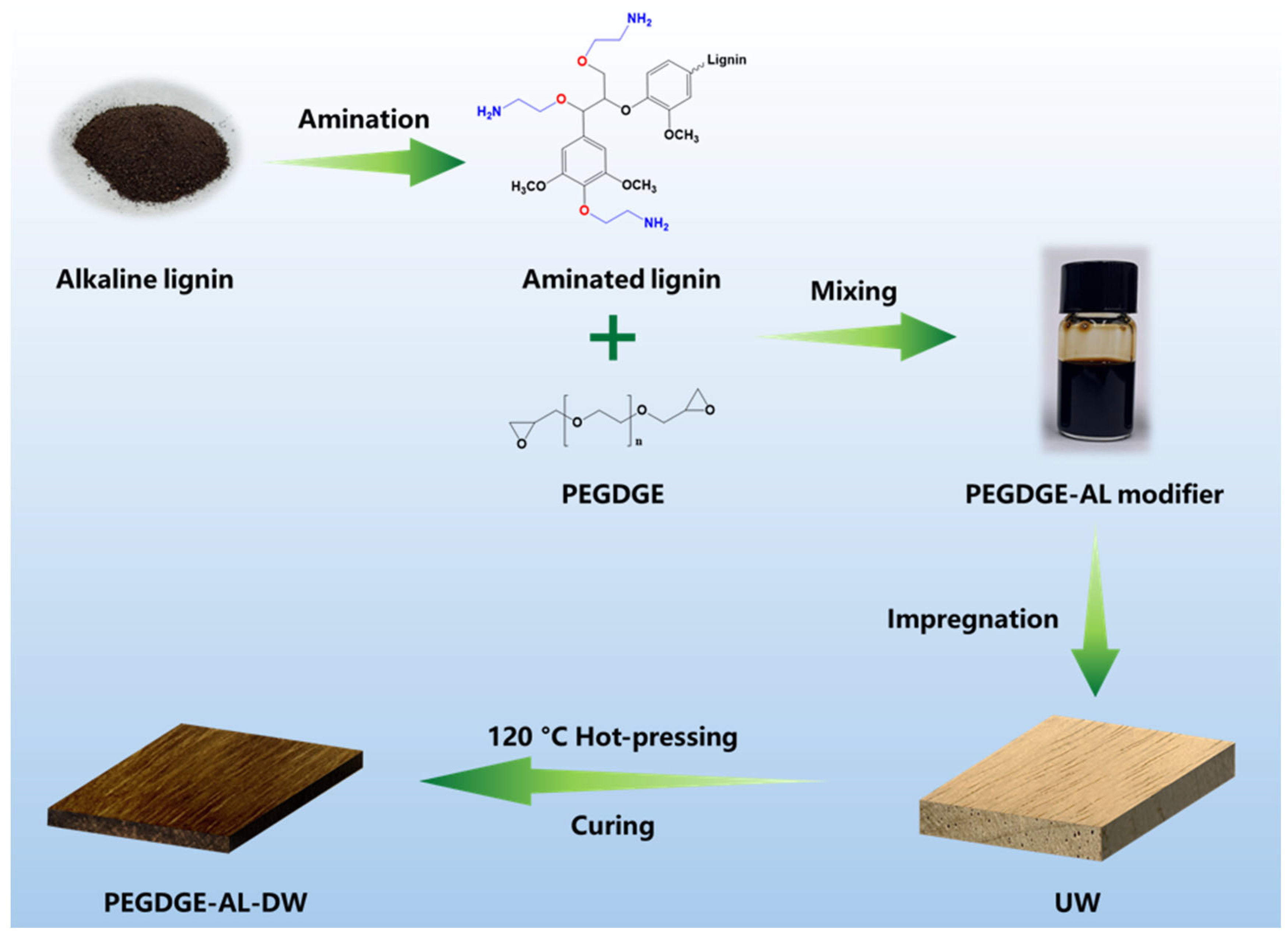 Polymers 17 01406 g001
