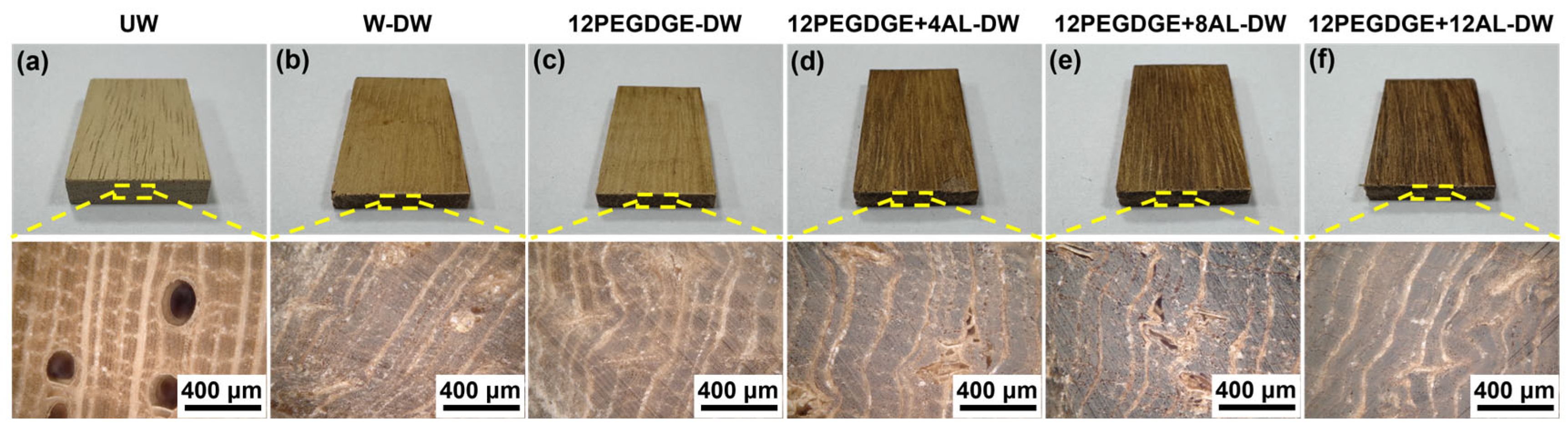 Polymers 17 01406 g006