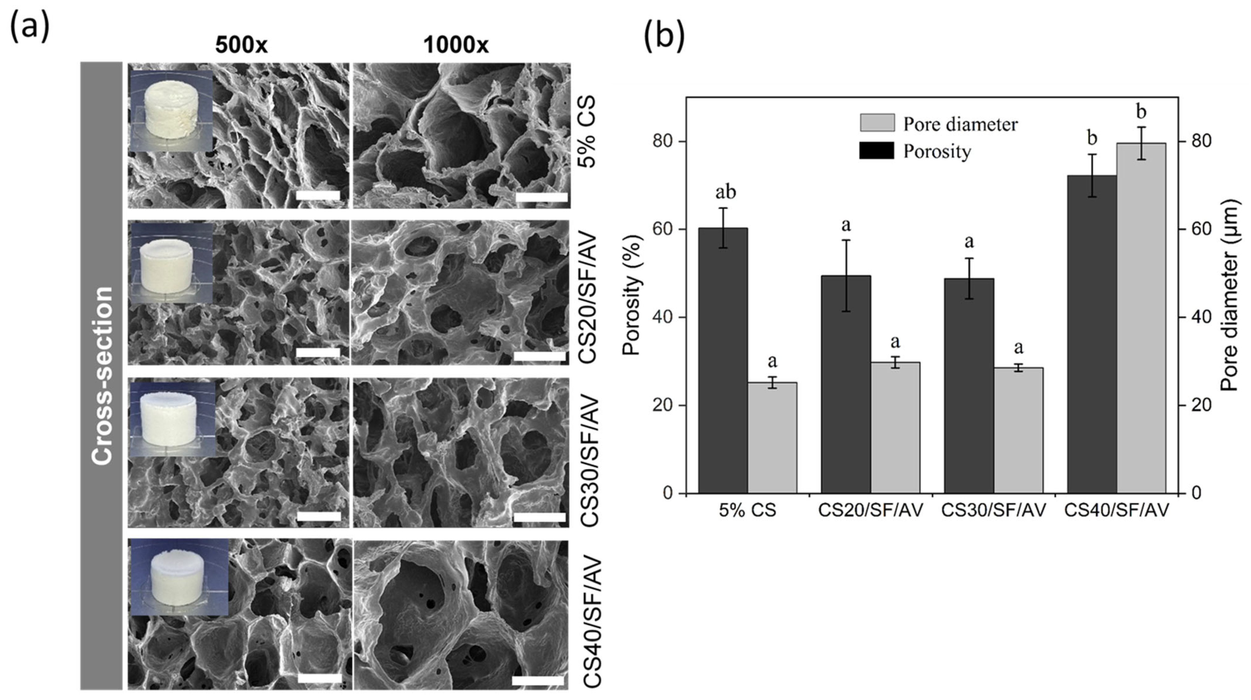 Polymers 17 01409 g002