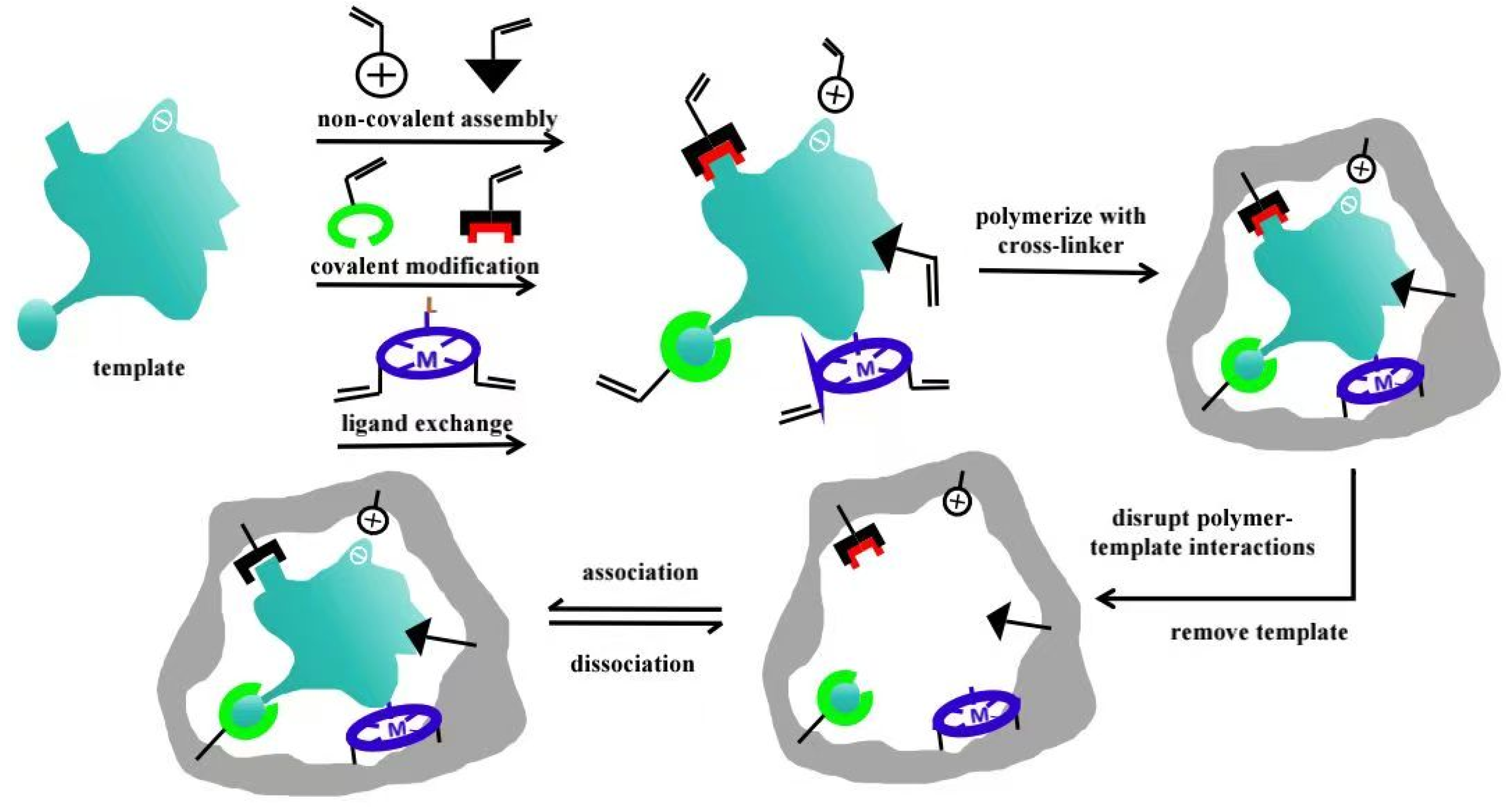 Polymers 17 01410 g001 Polymers 17 01410 g001
