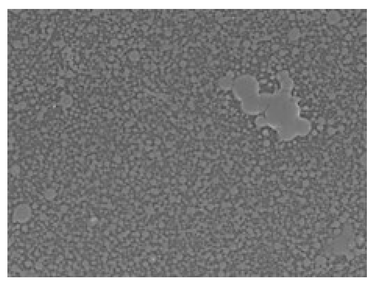 Polymers 17 01414 g006