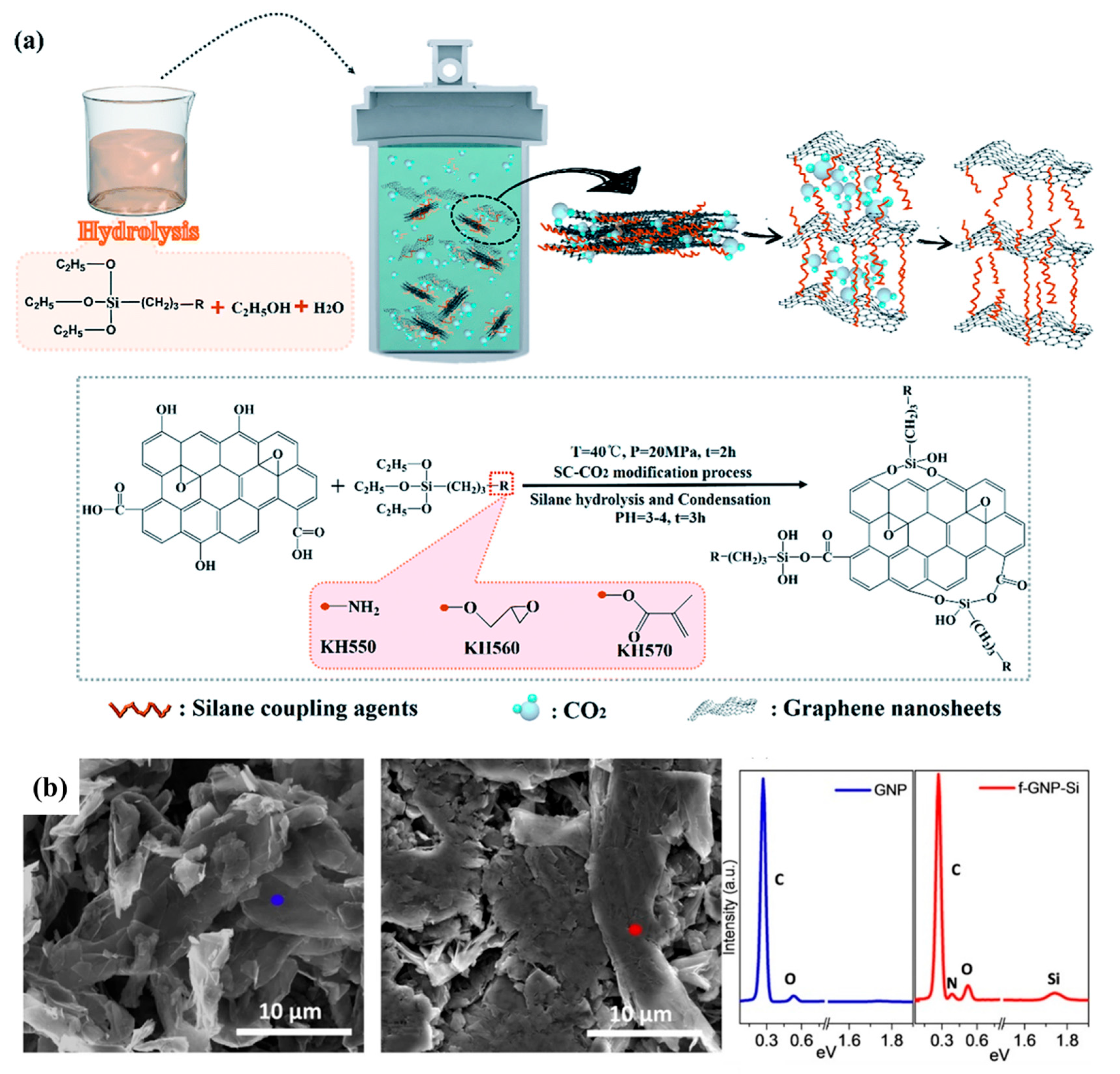 Polymers 17 01416 g008