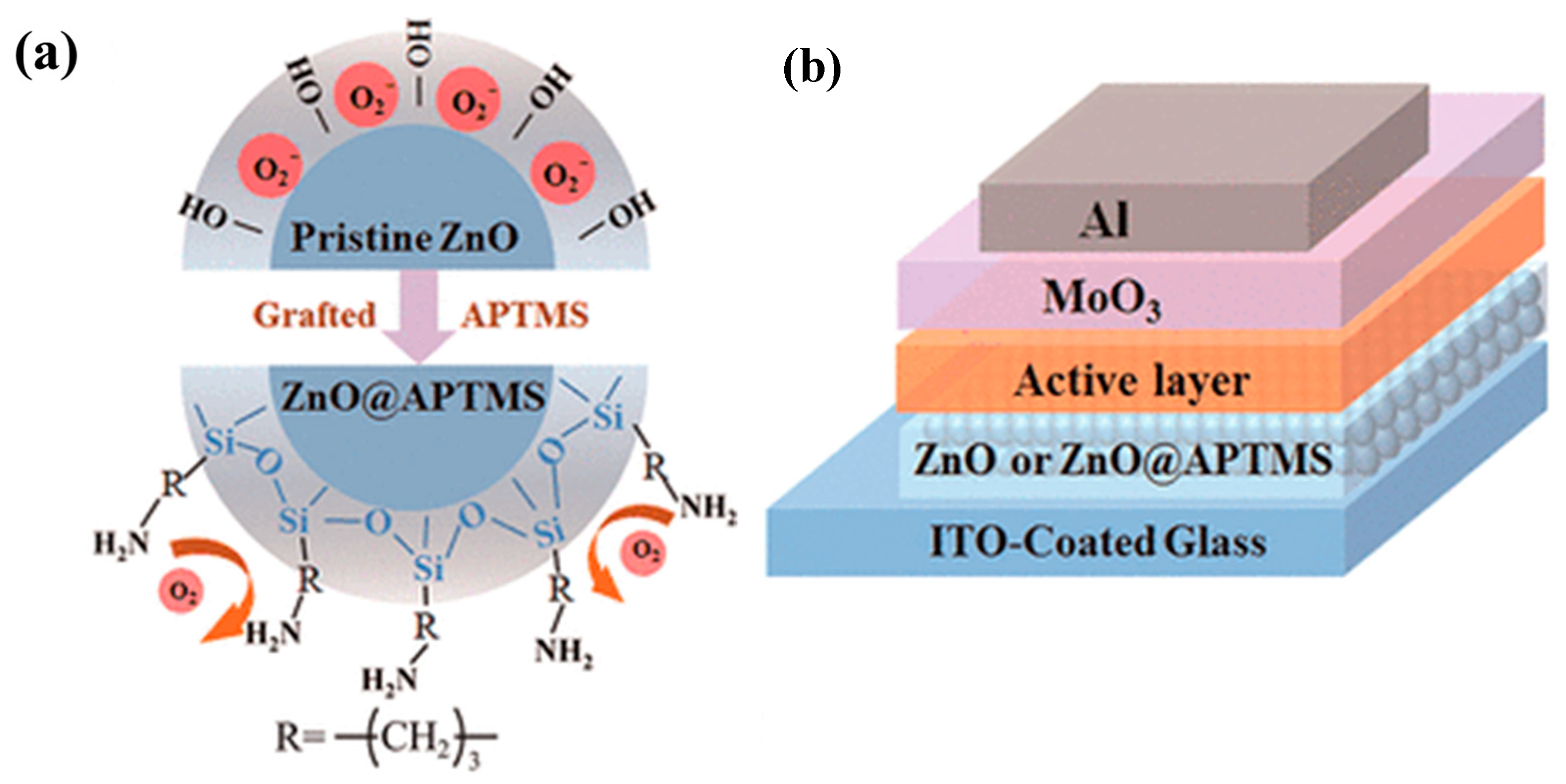Polymers 17 01416 g020