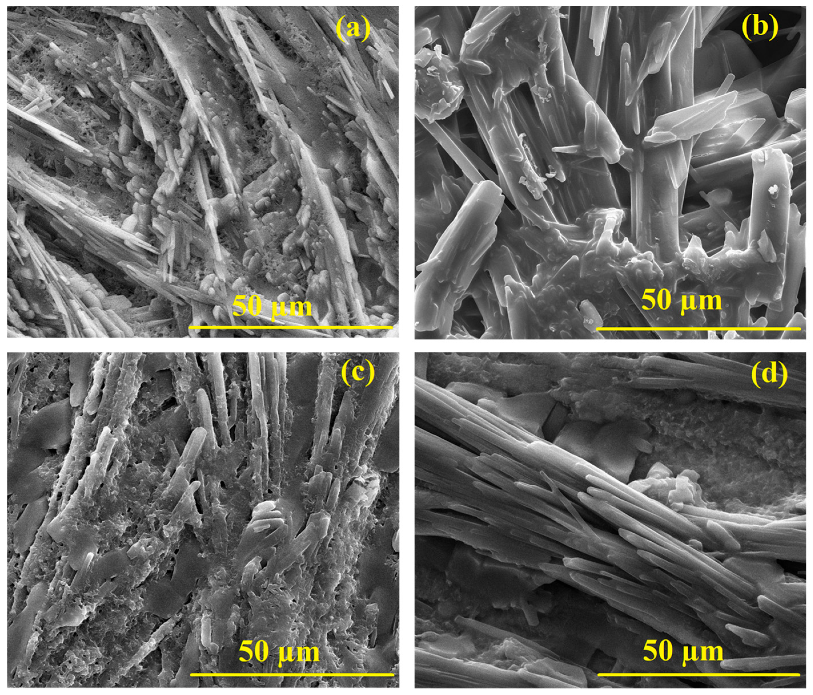 Polymers 17 01423 g008