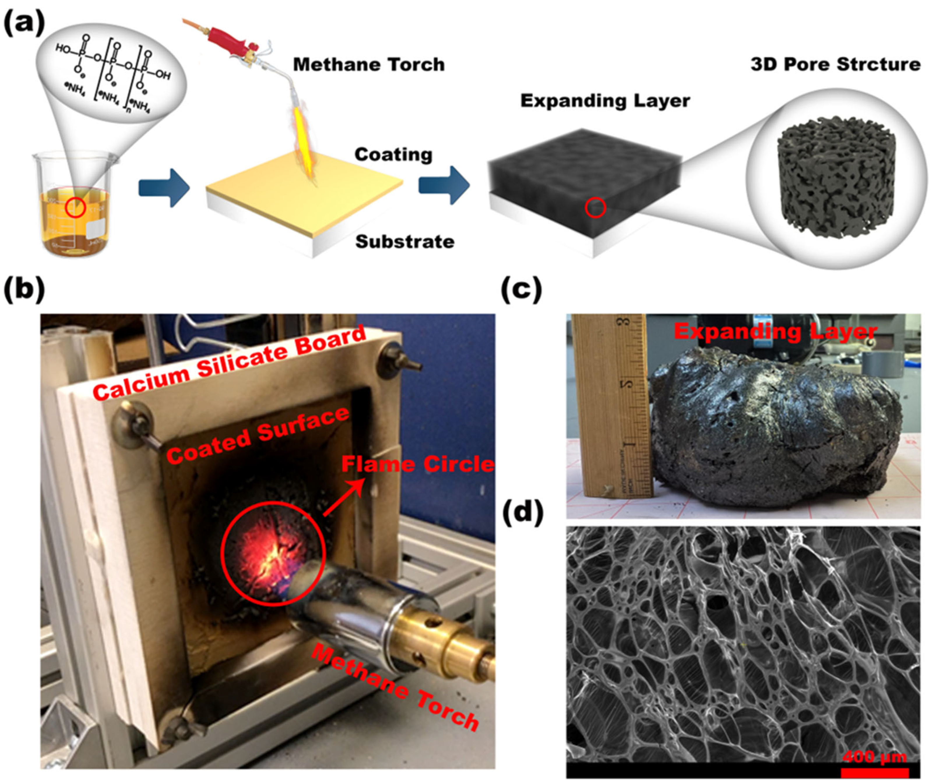 Polymers 17 01426 g002