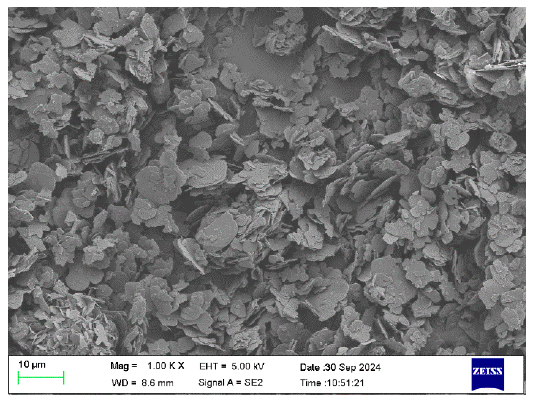 Polymers 17 01429 g004
