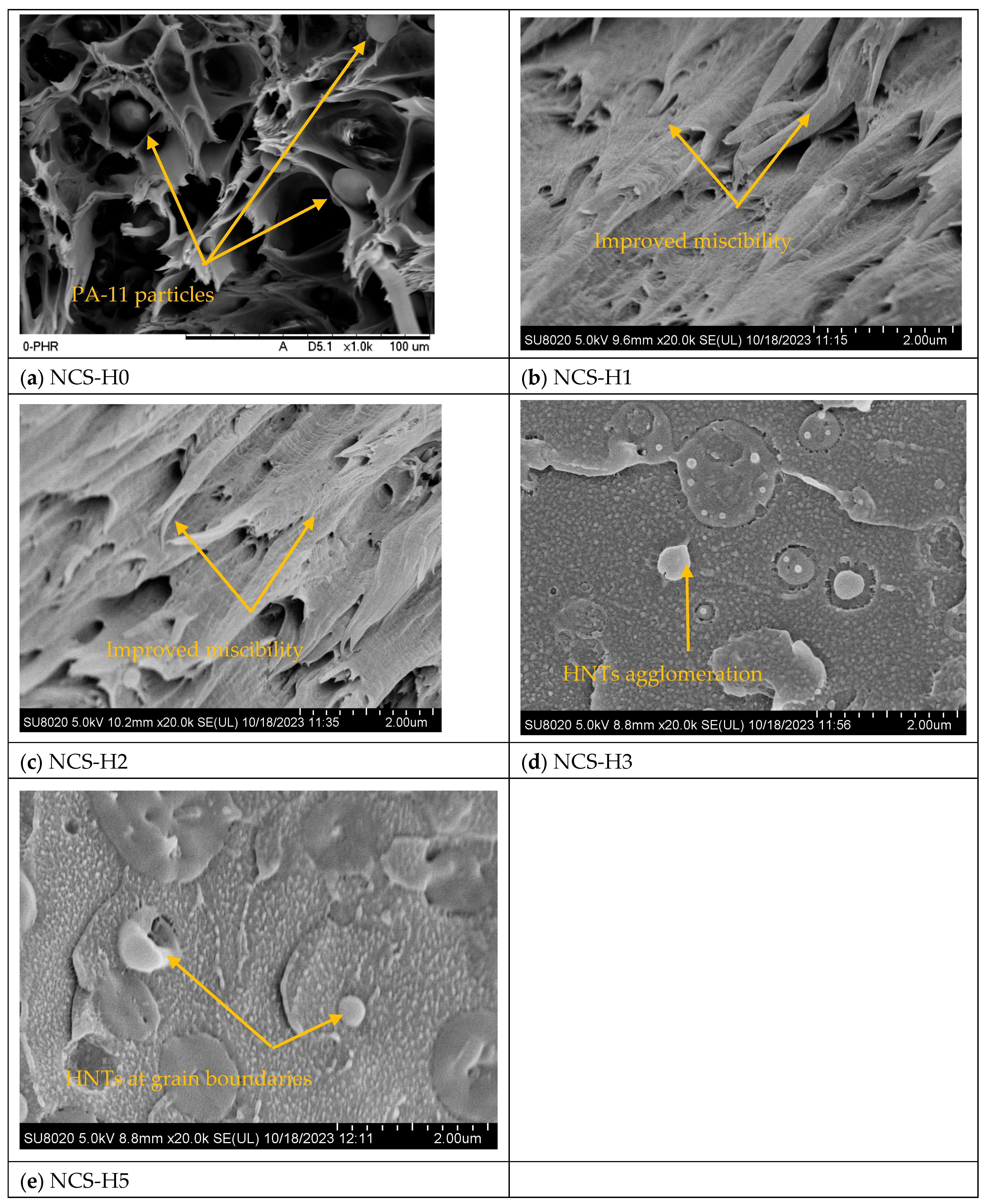 Polymers 17 01433 g003